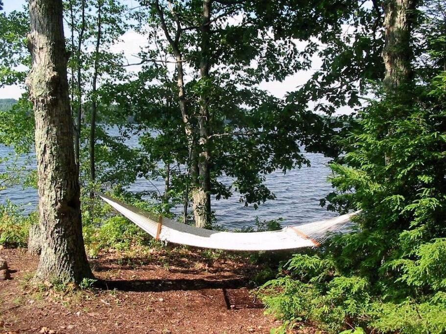 Escape to Tree House Island Life