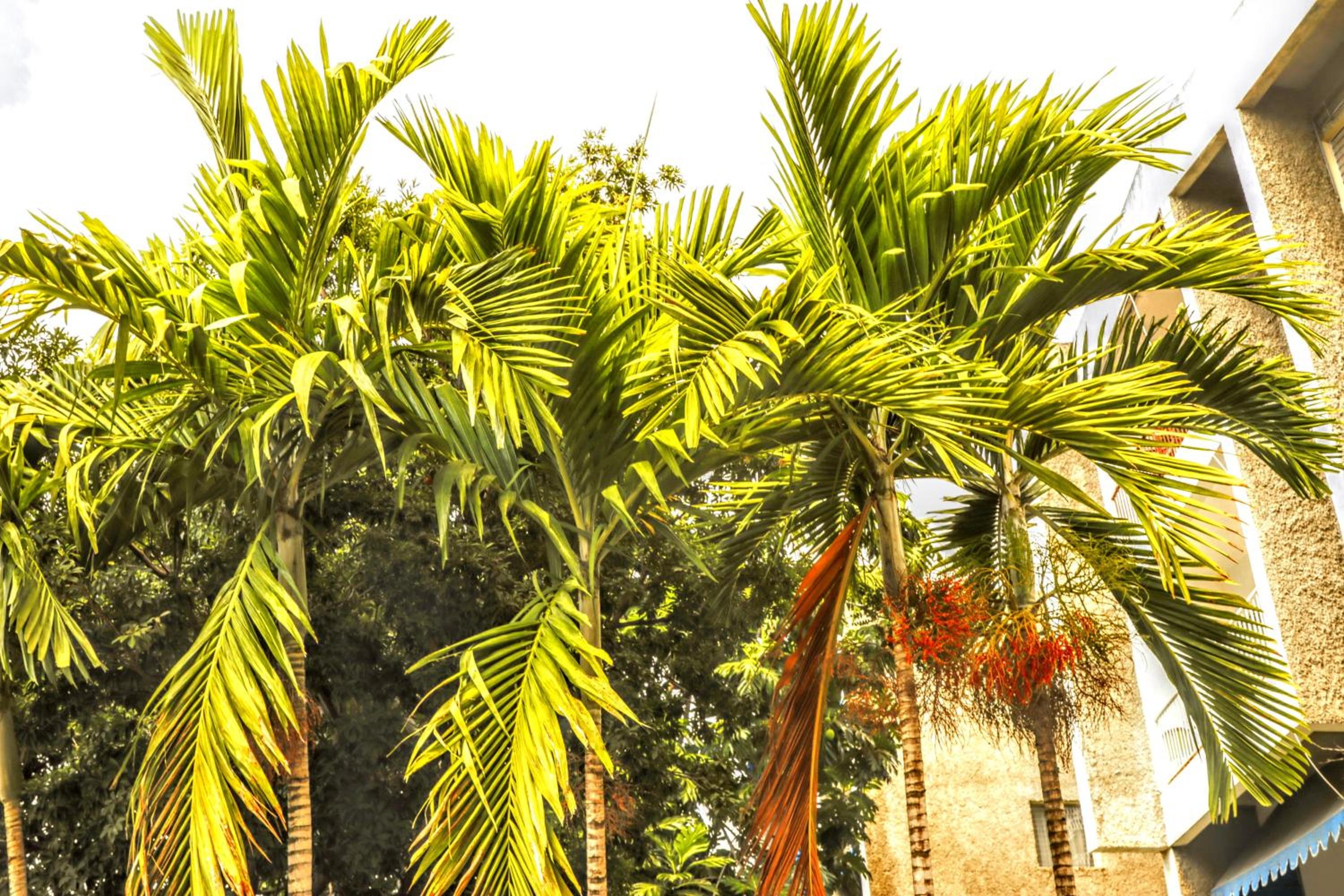 Close Since Nov 2025 - Do Not Book - 0 Bedrooms, 0 Beds, 0 Guest view 3