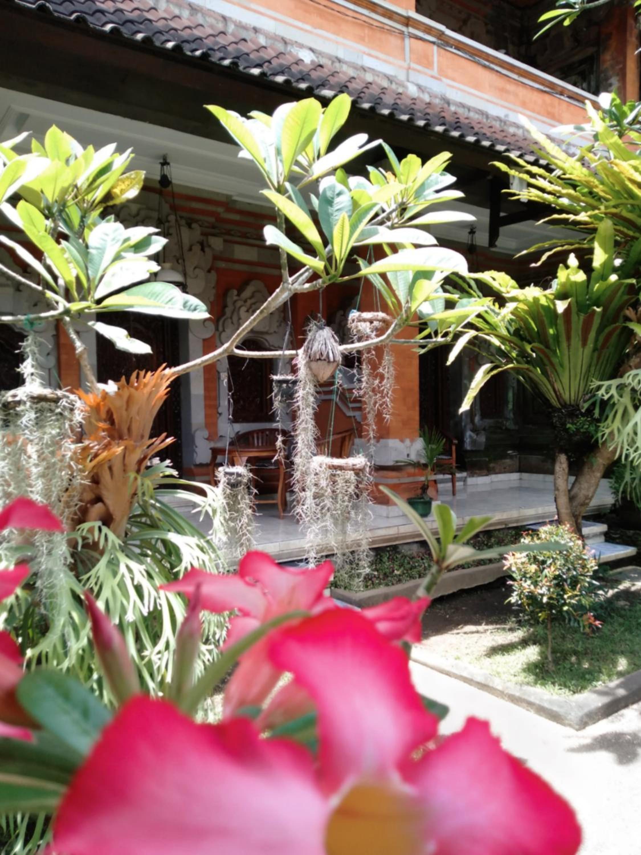 Photo 26