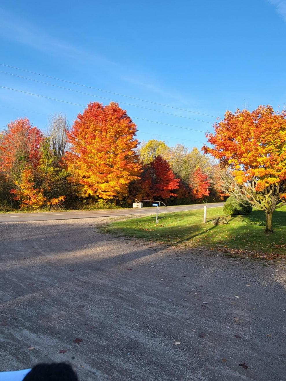 East Pond View Campsite