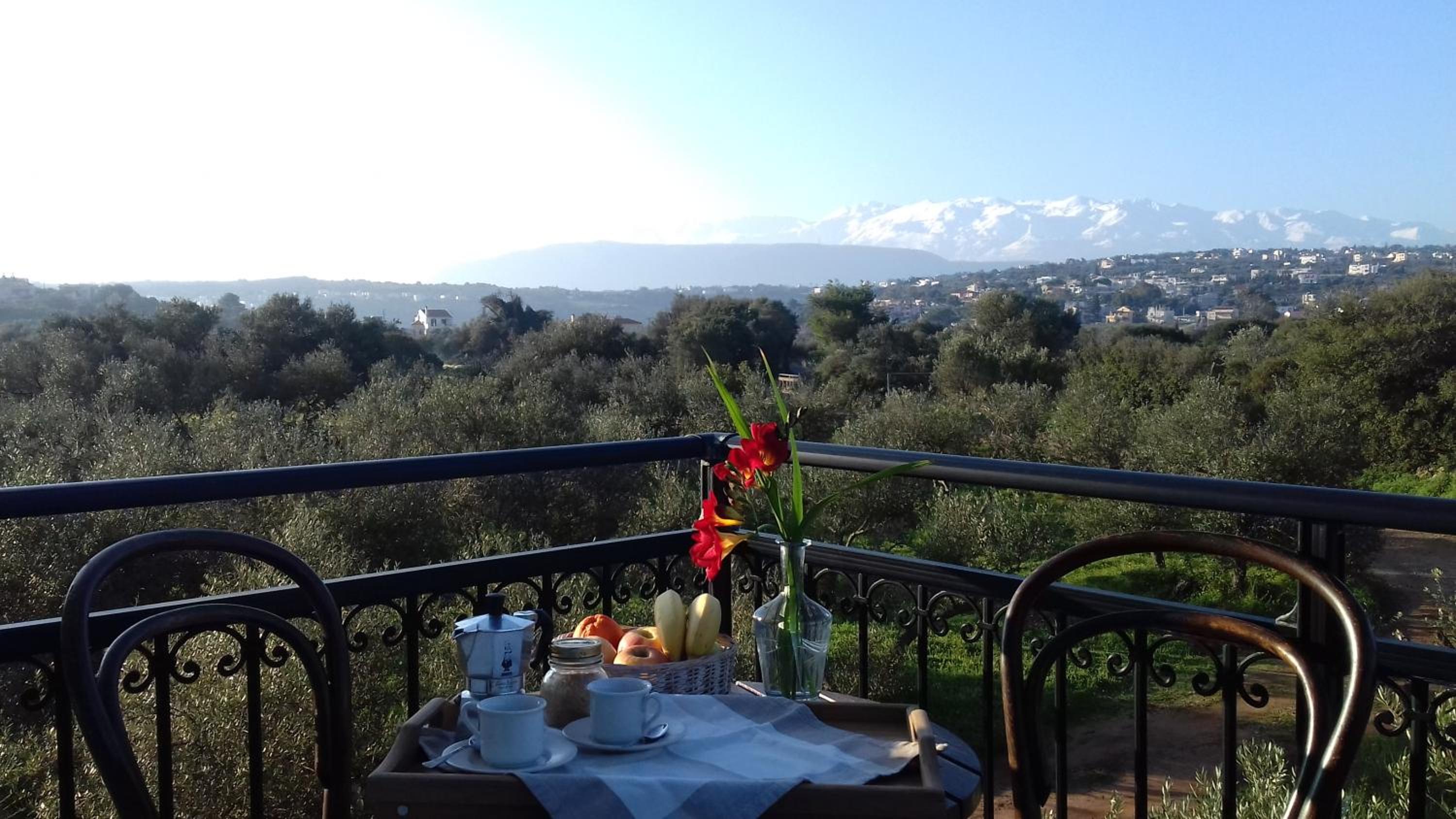 Manolo s olive farm, apartment with seaview view 4
