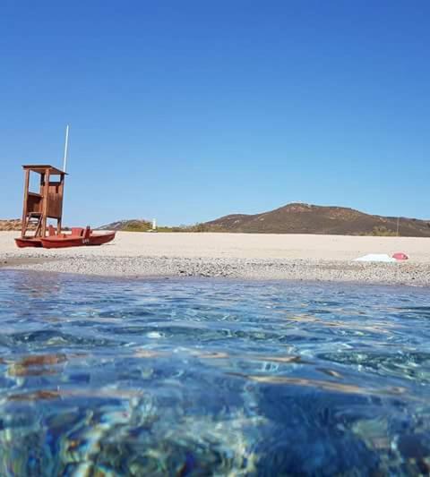 asfodelo photo 2