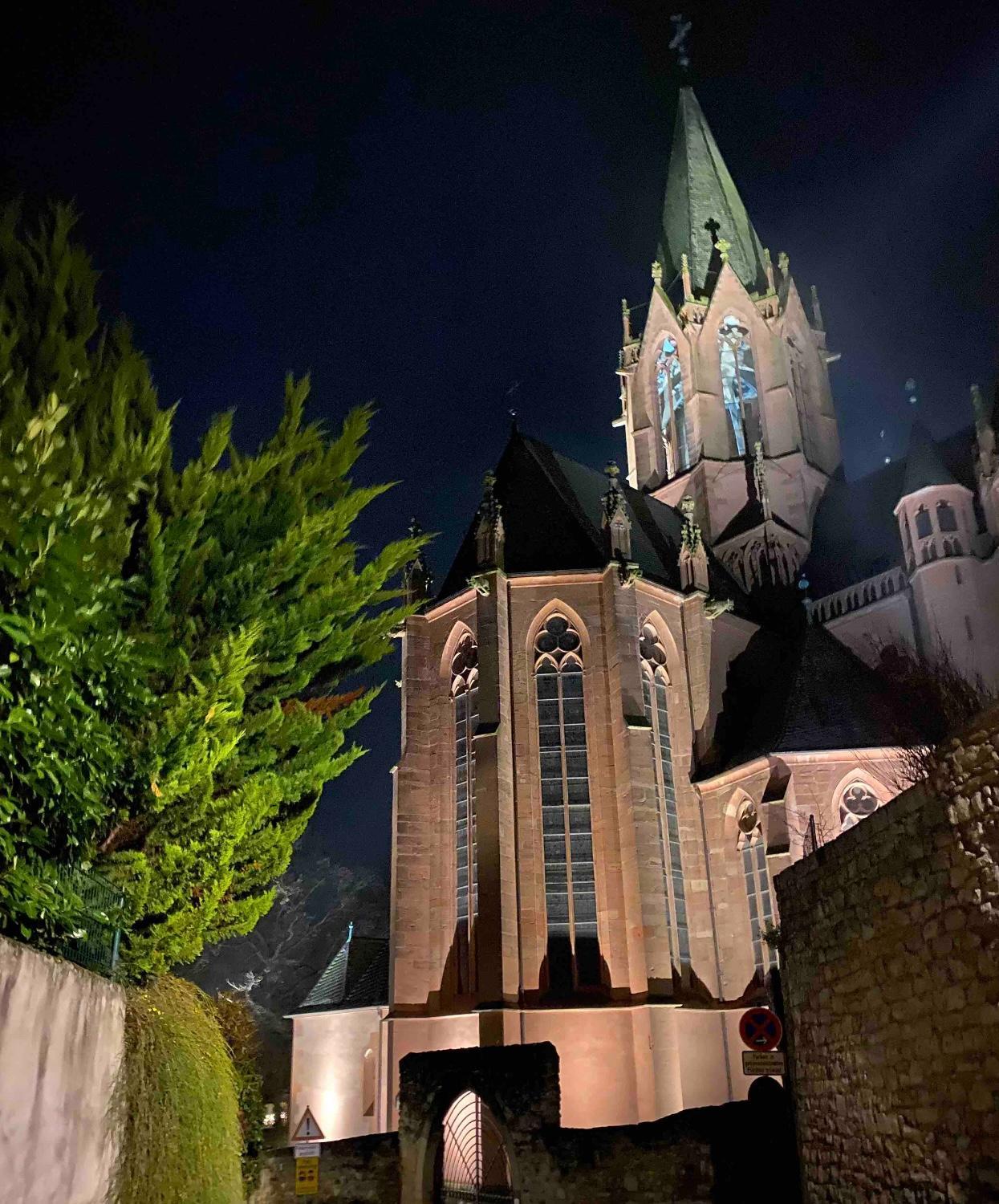 Schönster Blick auf Oppenheim!