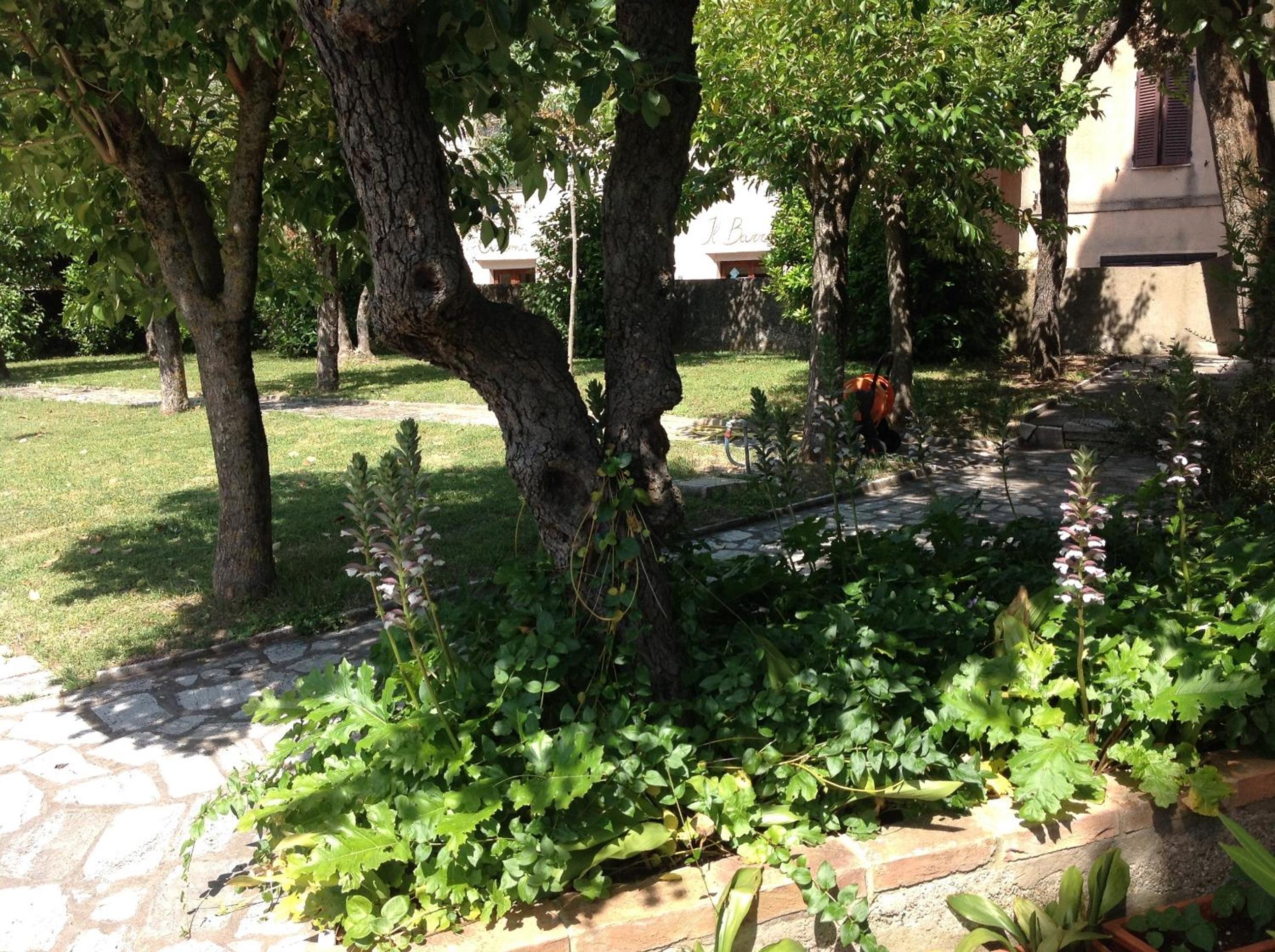 Photo 56