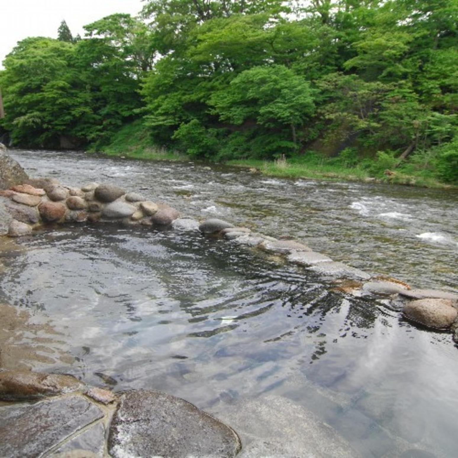 Fujisan Ryokan view 5