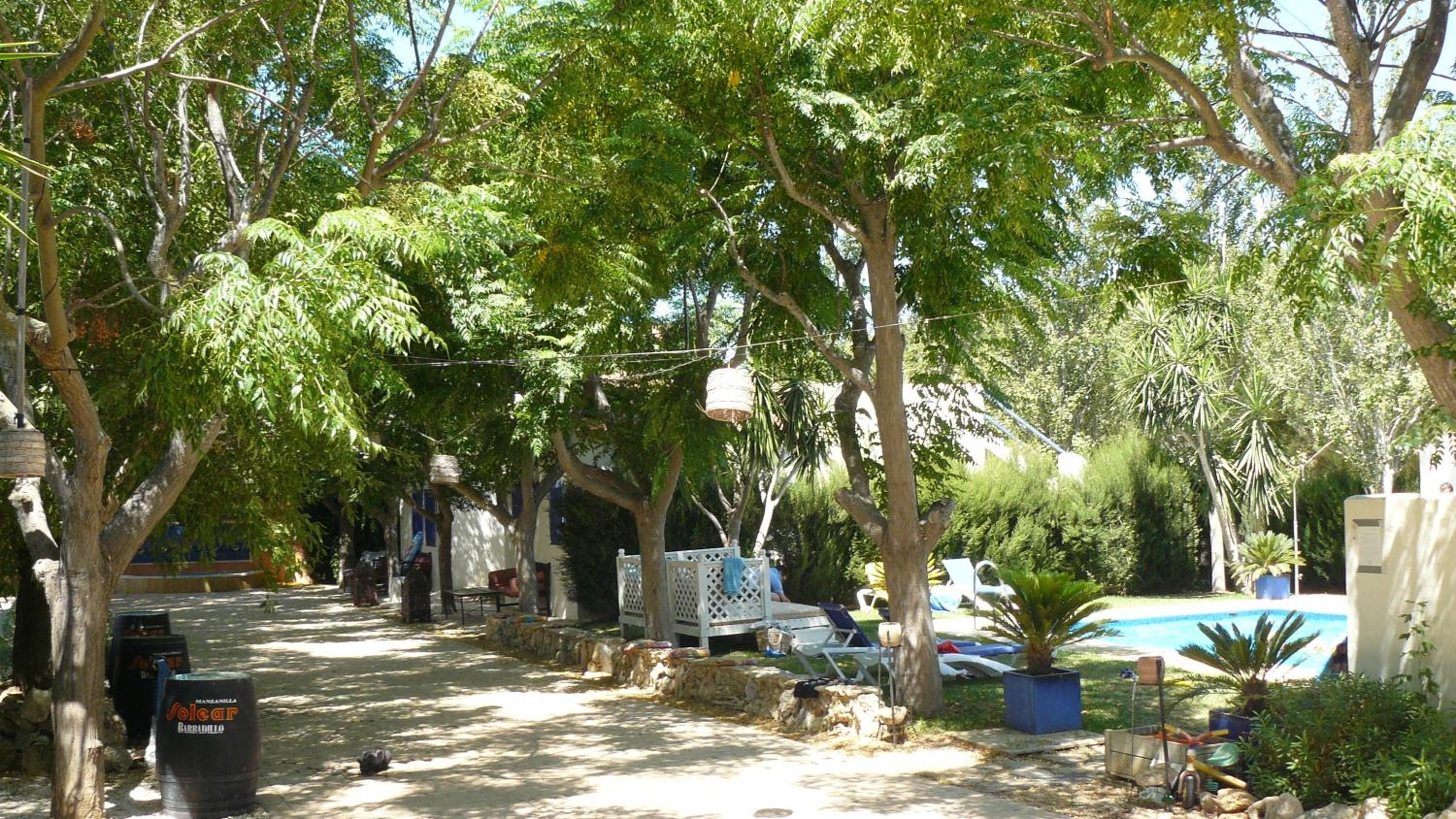 Paraiso Perdido