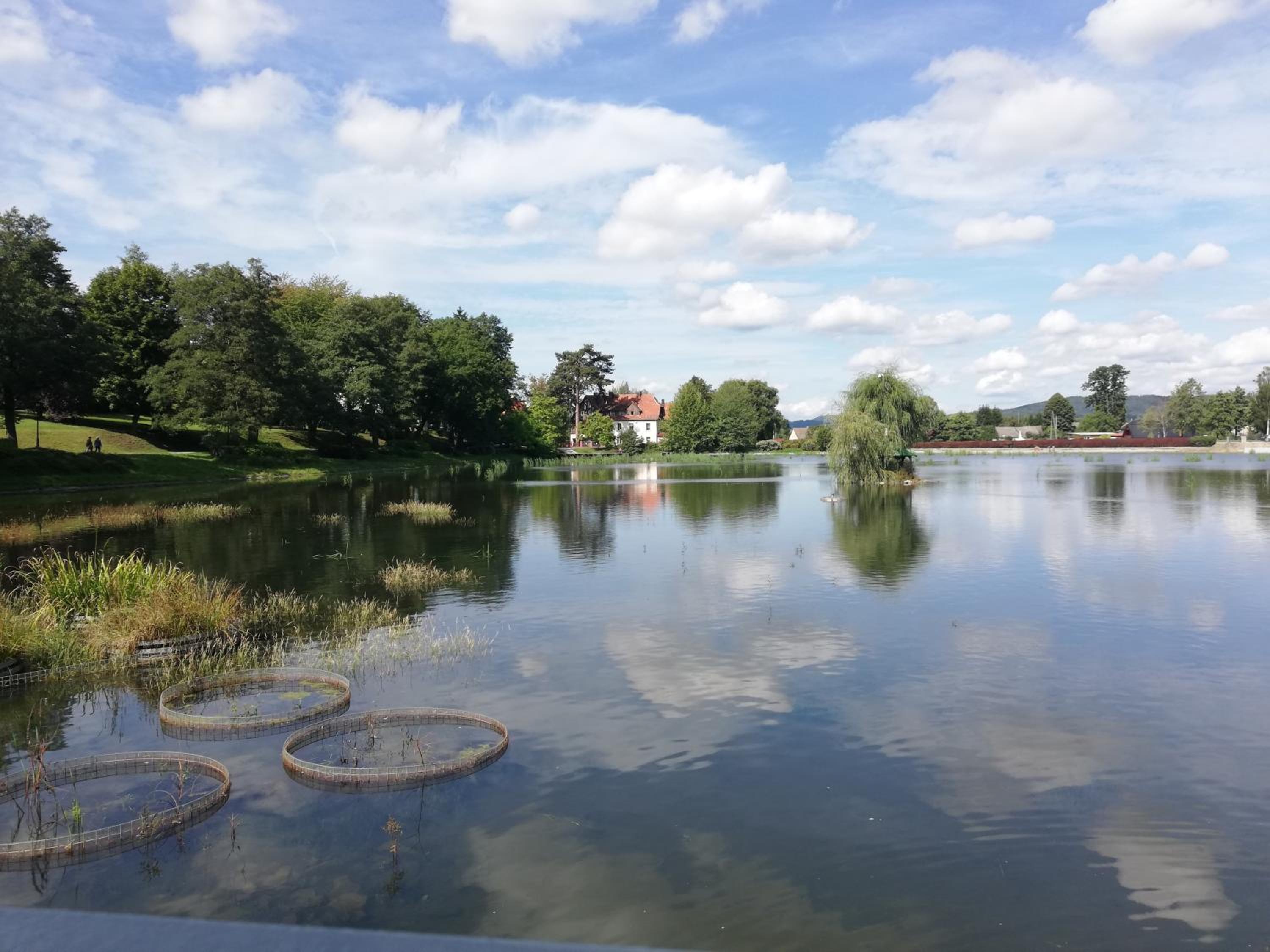 Apartament Nectar Pond view 5