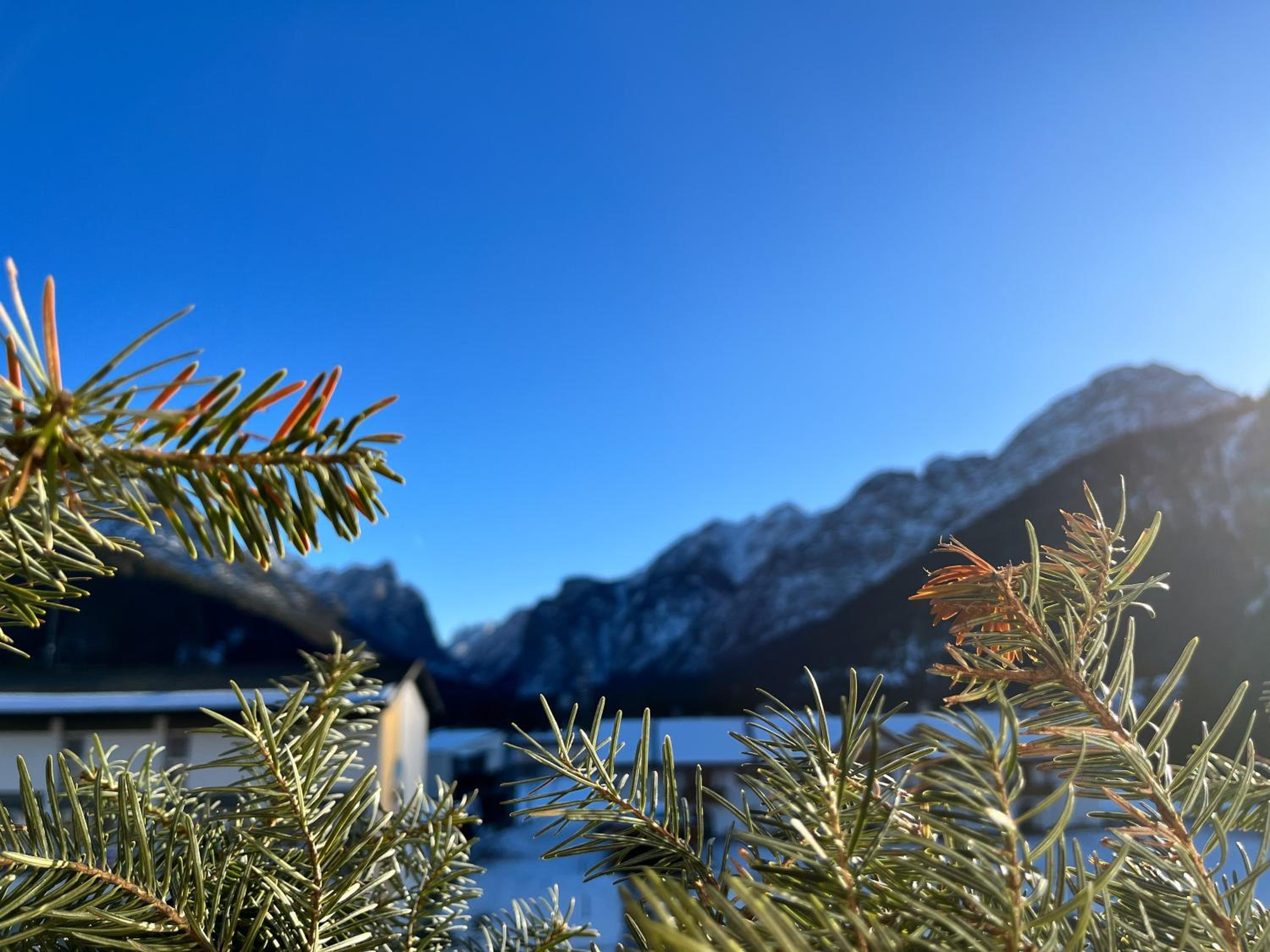 Guesthouse Rosengarten