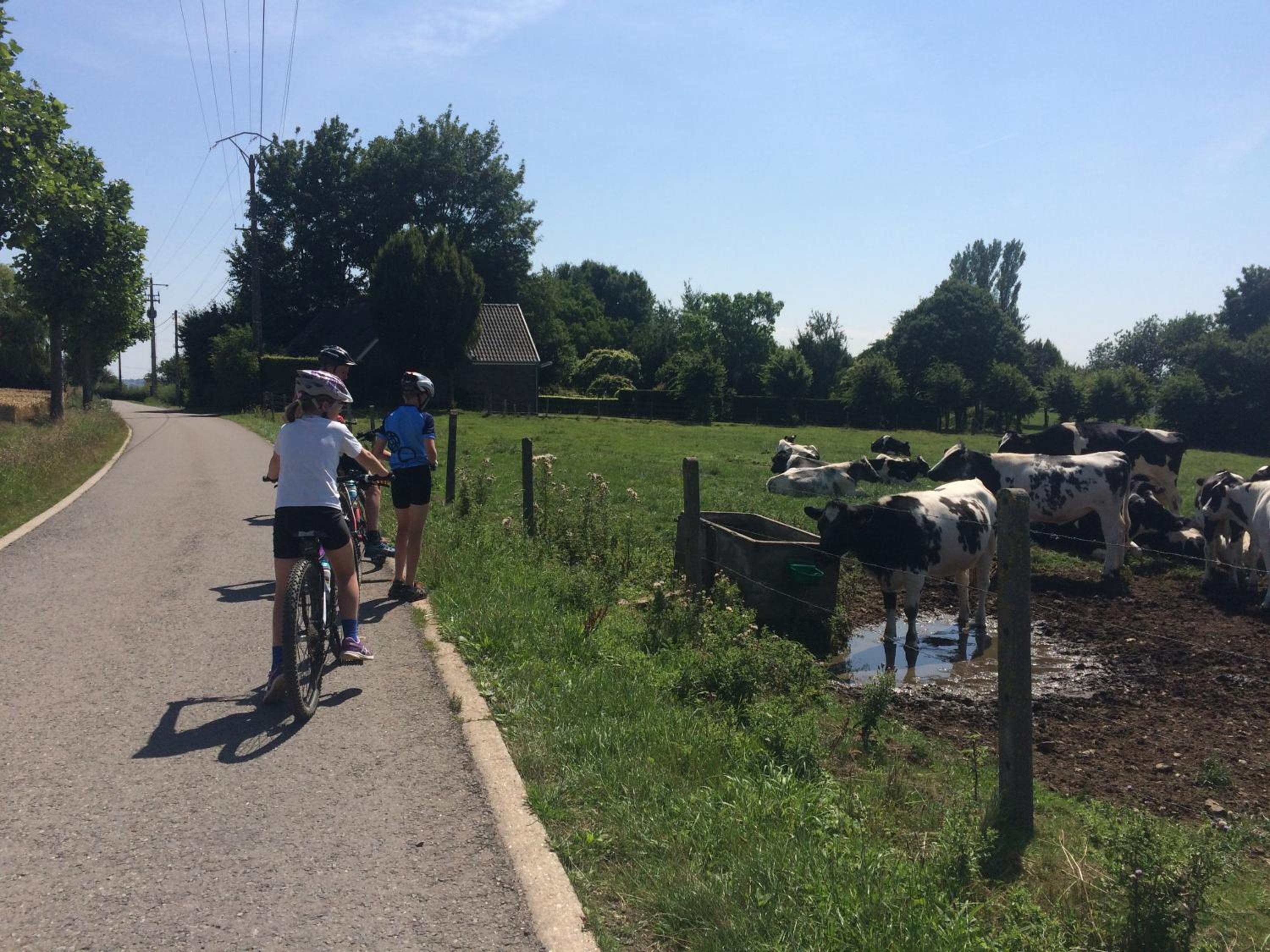 Hoeve Espewey - Studio