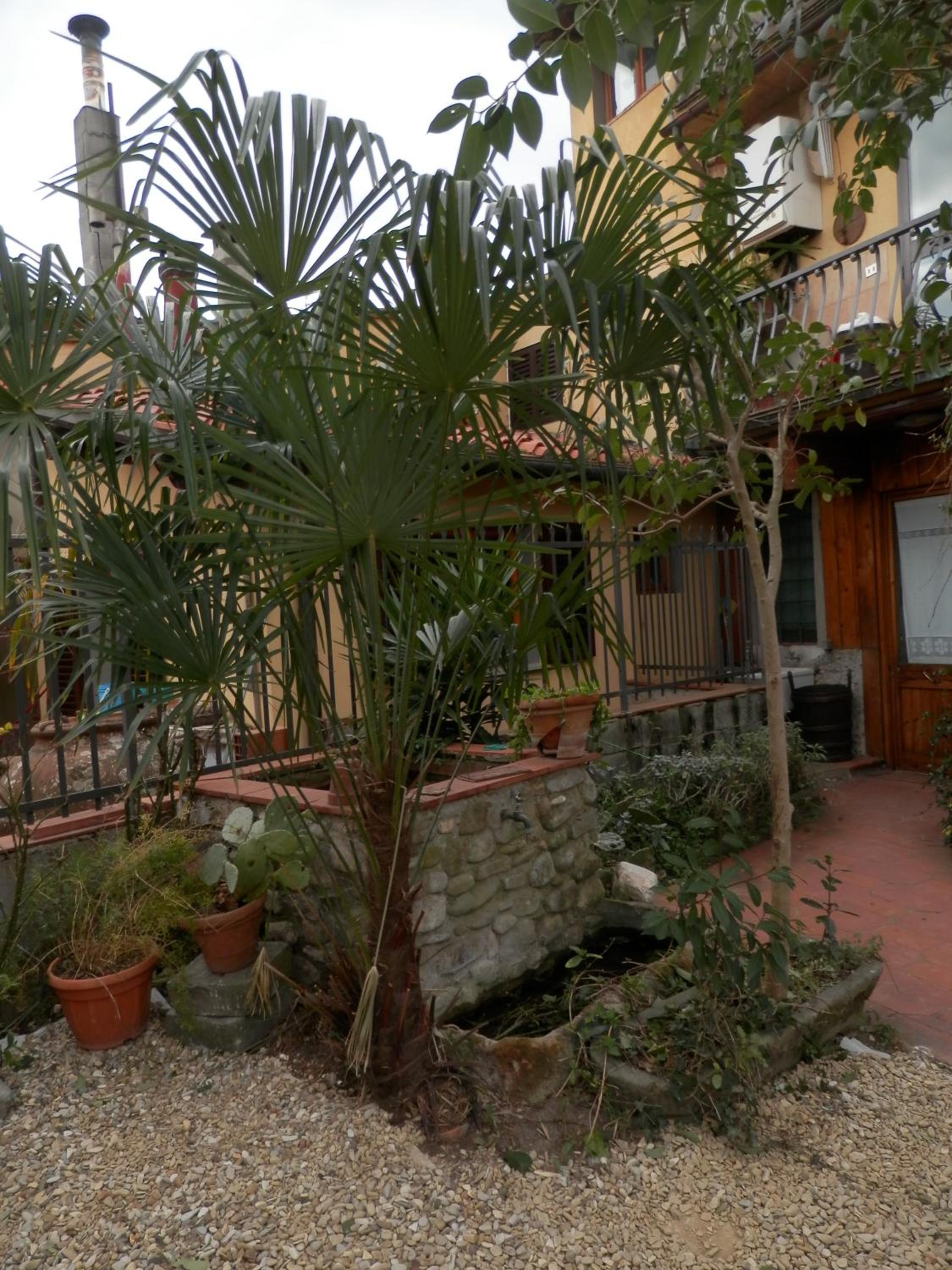 Agriturismo Le Macine