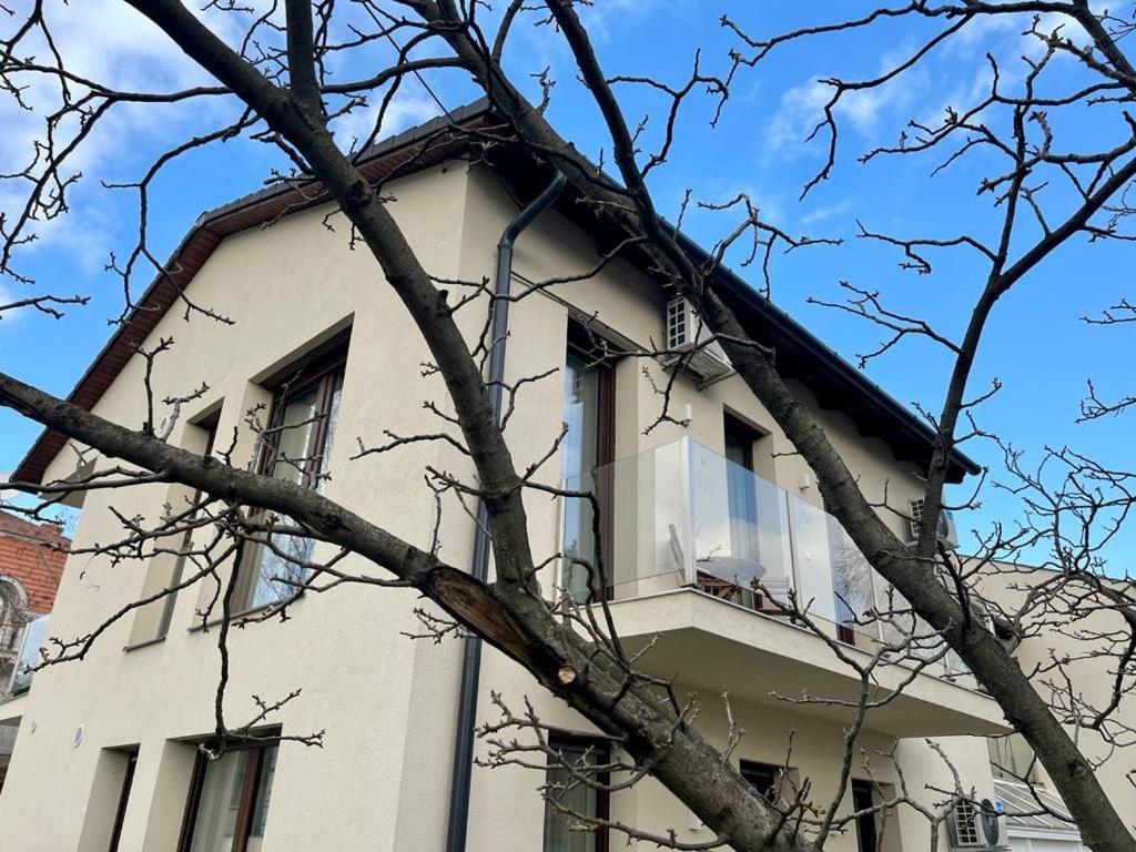 Nature in the City lower storey Bestern