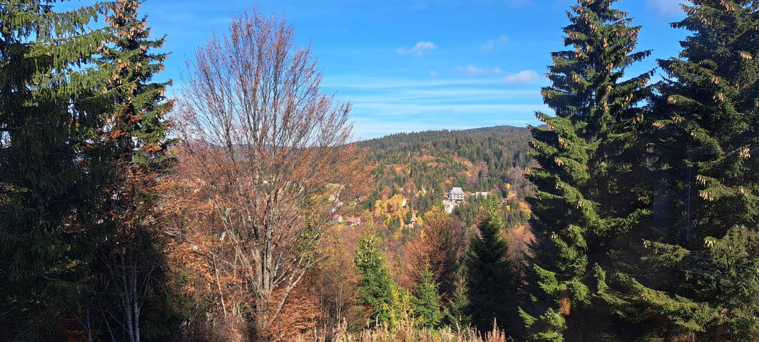 A2Kopaonik newly built apartments view 5