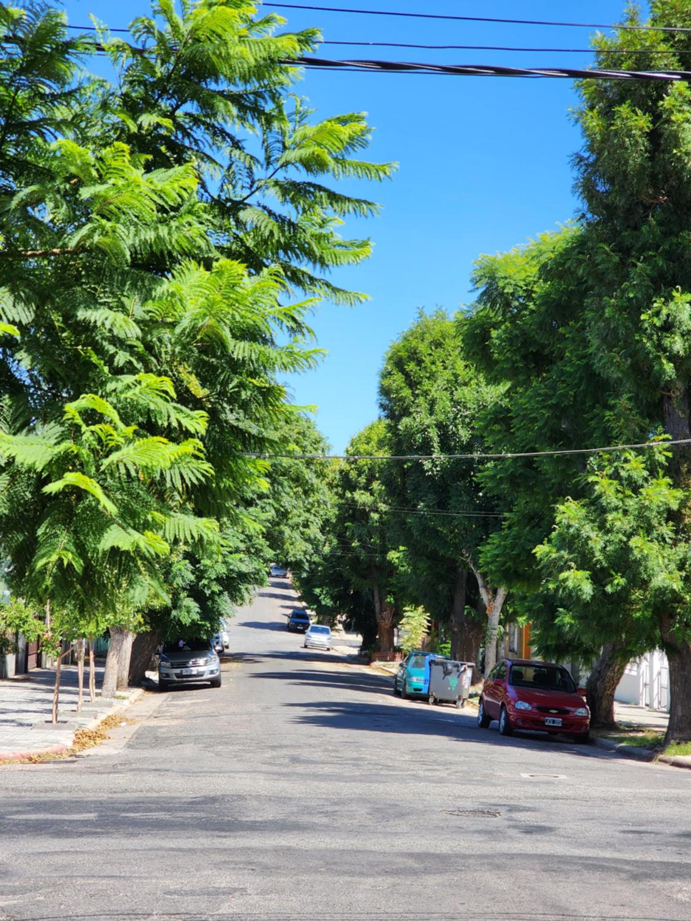 Photo 47