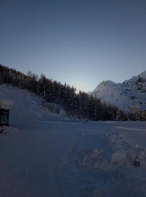 Mountain Studio 109A view 5