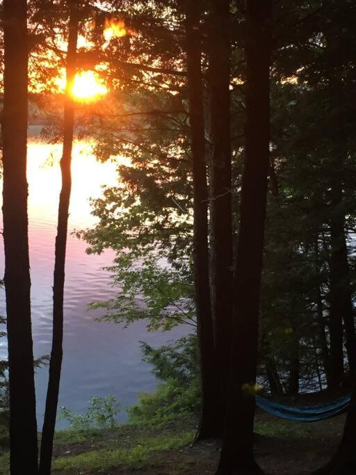 Hammock Haven Island Dome view 2