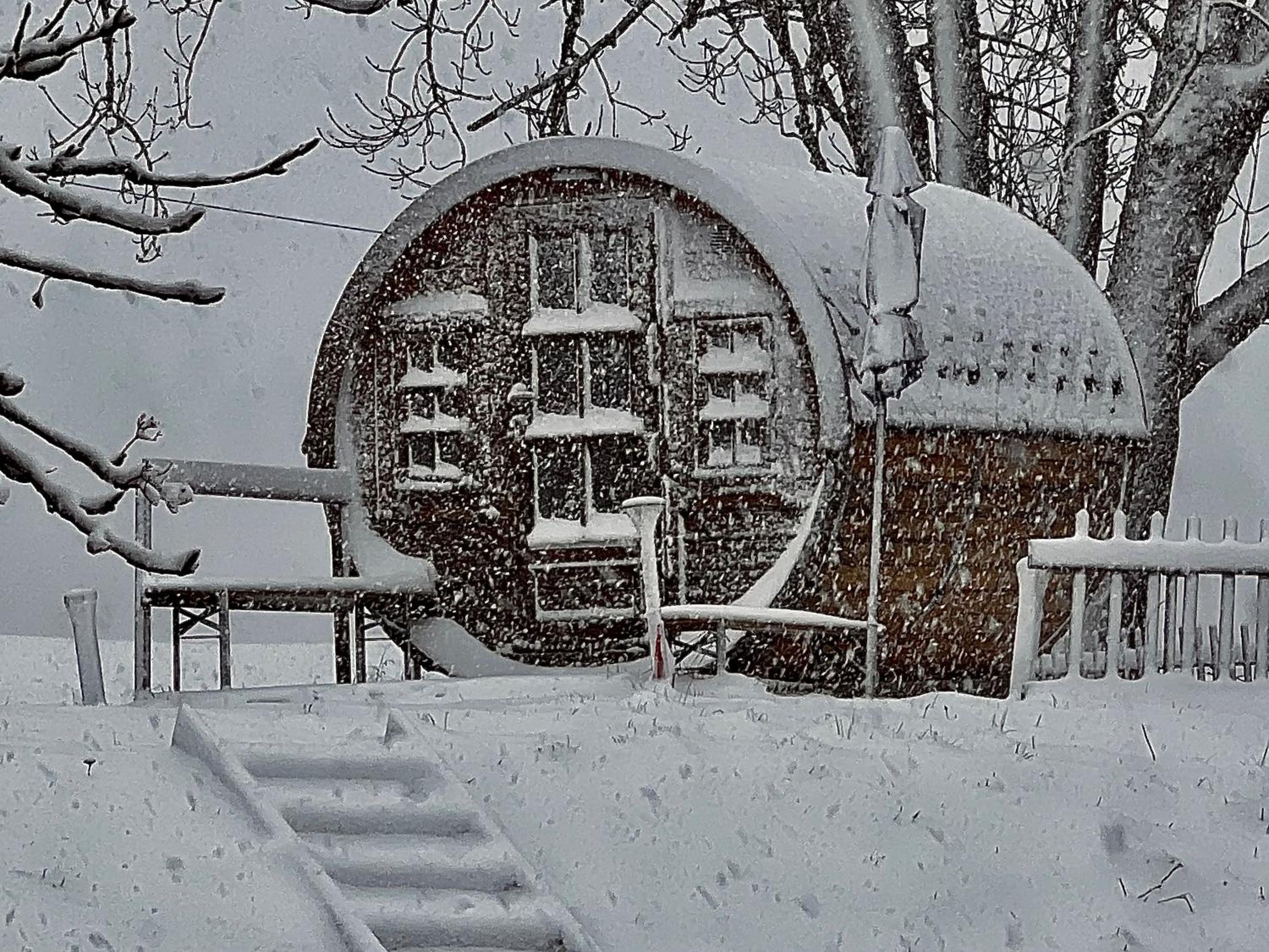 Photo 264