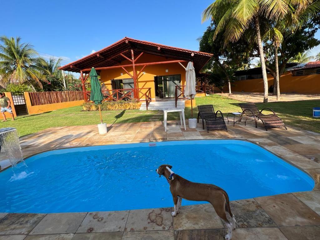 Fabulous 5 bedroom villa in Japaratinga