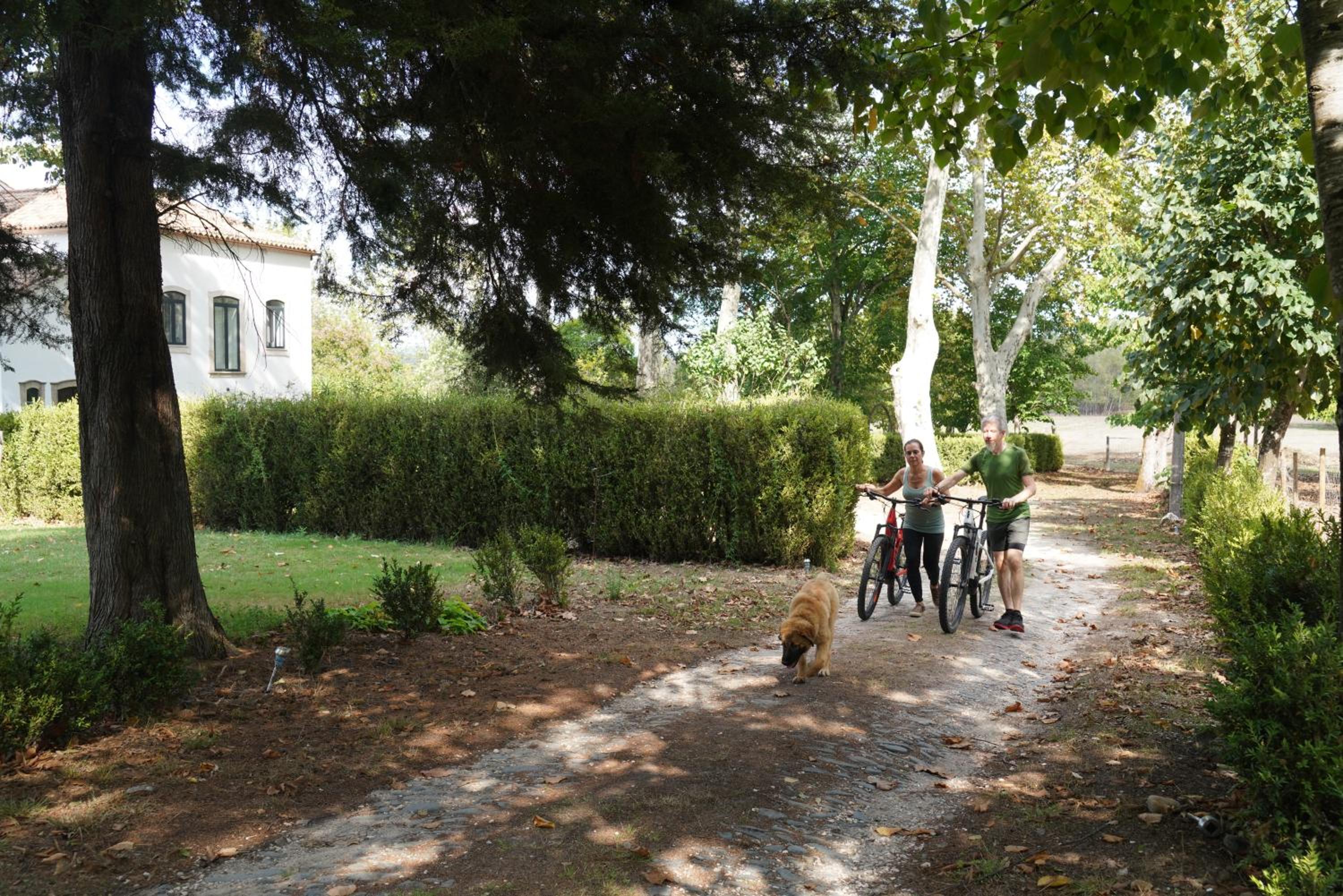 Photo 43