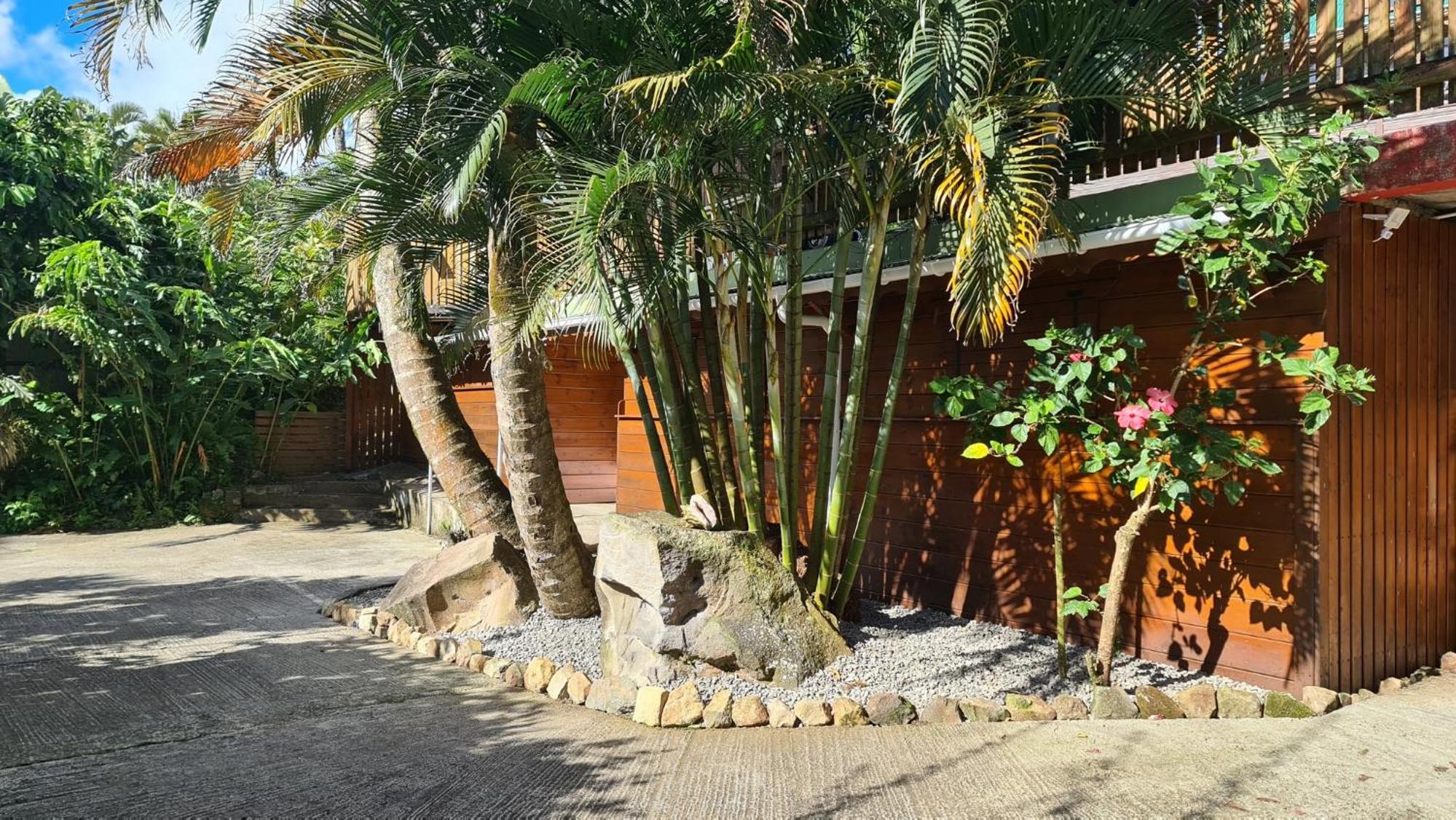 Les Bananes Vertes Ecolodges - Photo 135