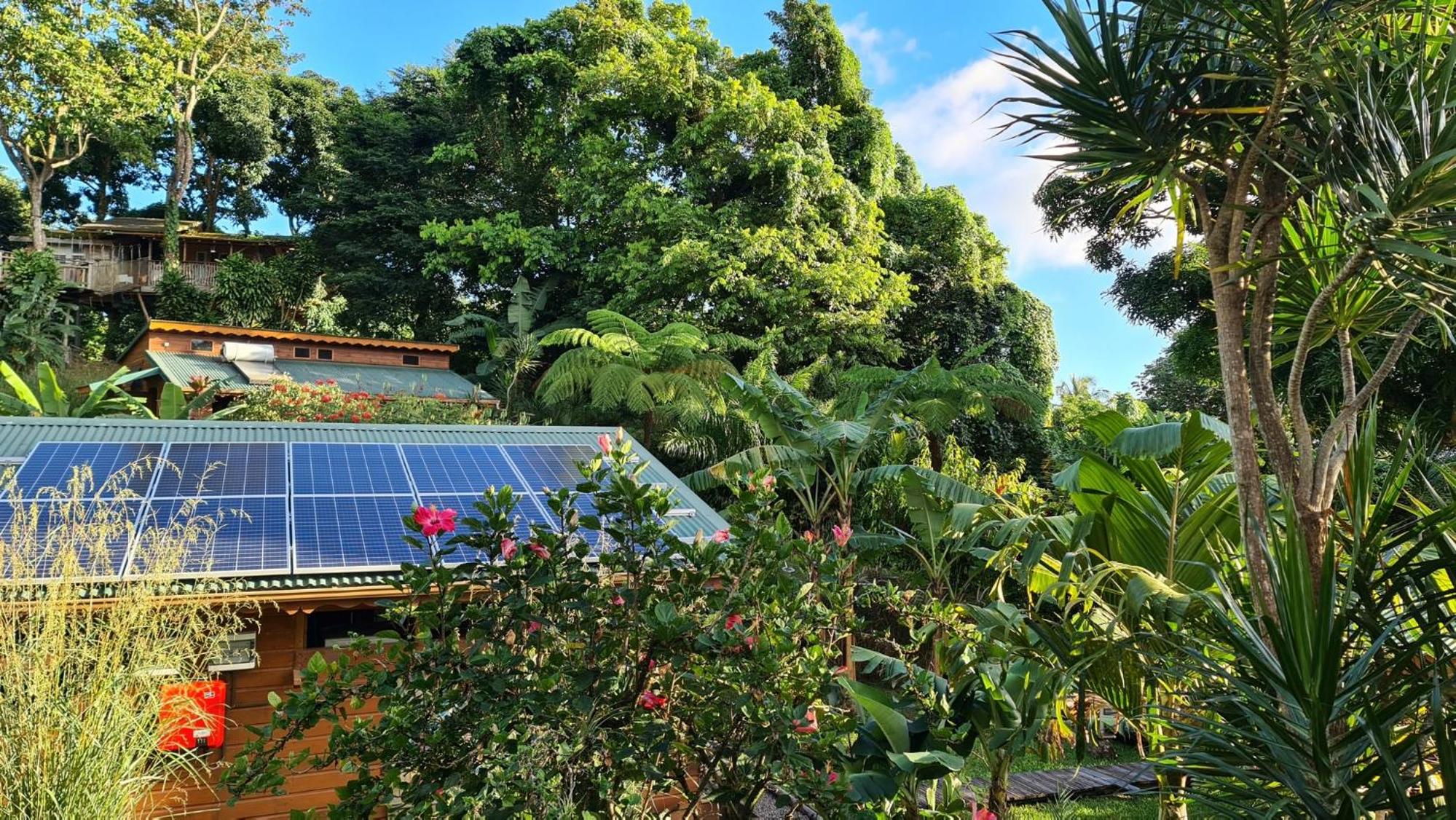 Les Bananes Vertes Ecolodges - Photo 137