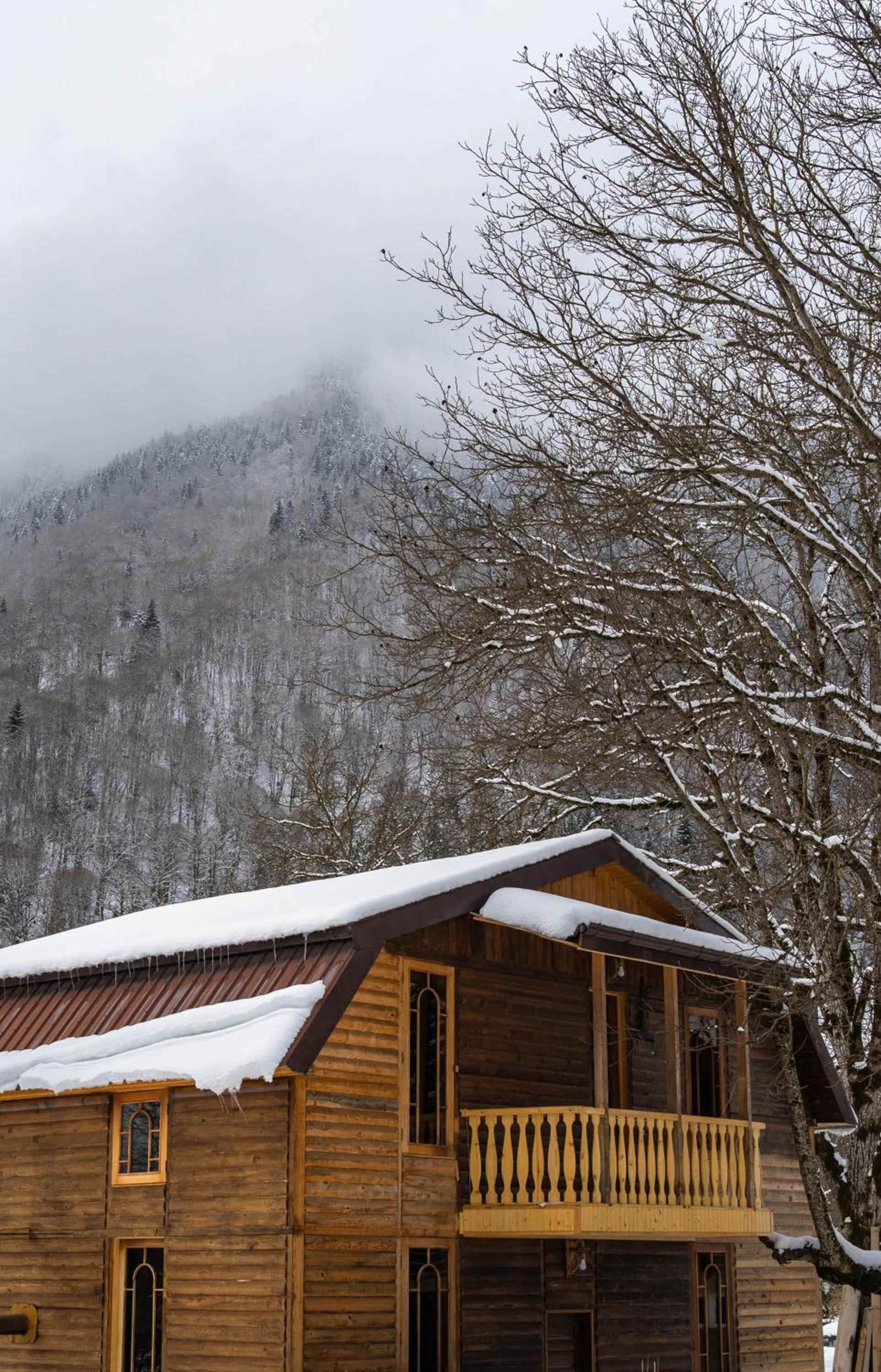 Photo 29