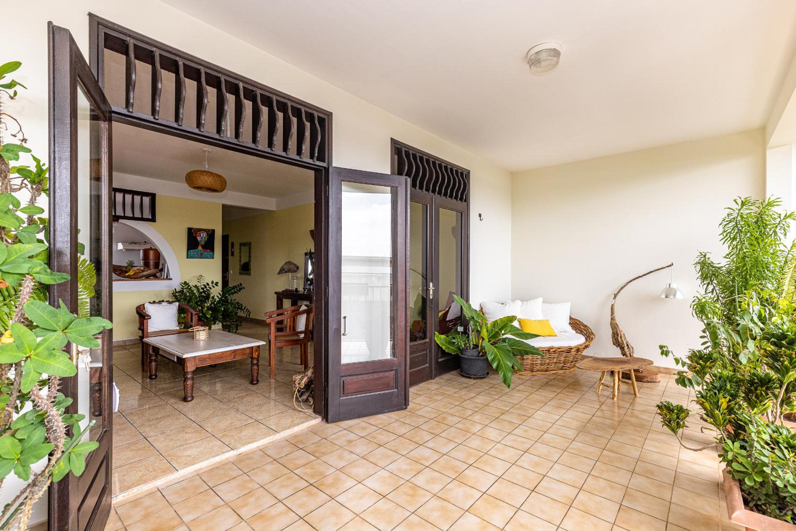 Spacious T3 in Cayenne- Le Zamioculcas. view 5