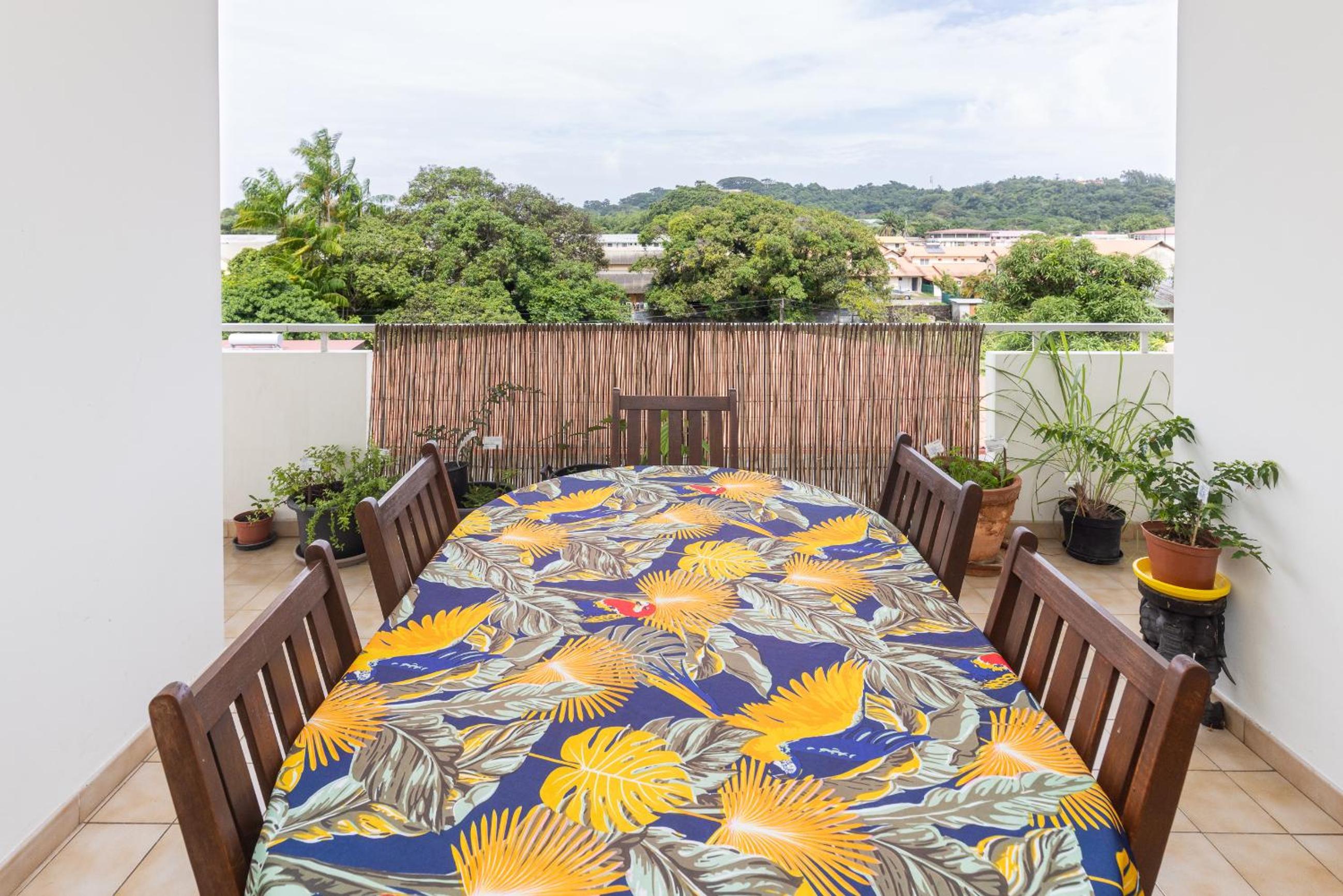 Spacious T3 in Cayenne- Le Zamioculcas. view 4