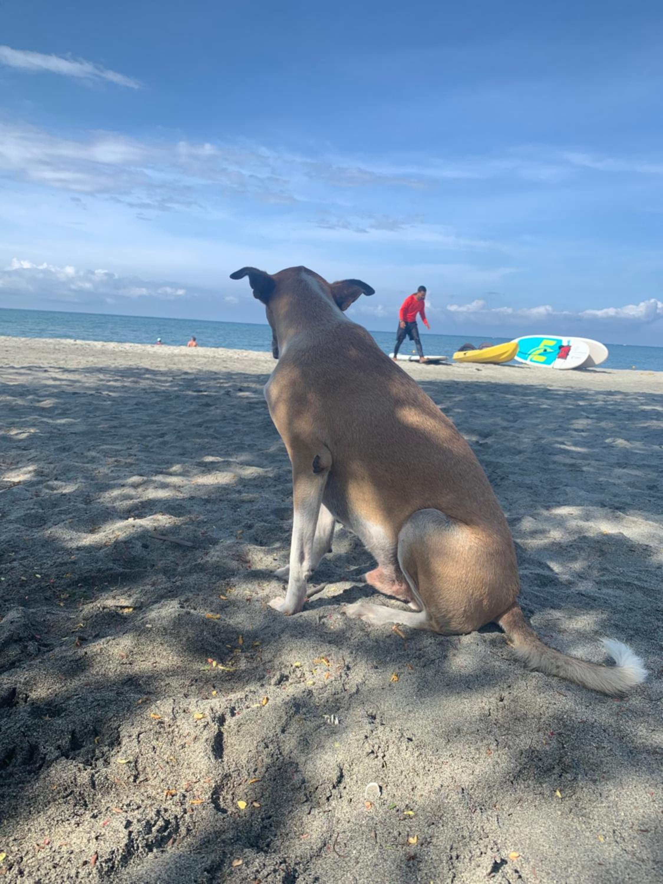 Playa del Ritmo Beach Hostel & Bar - Adults Only
