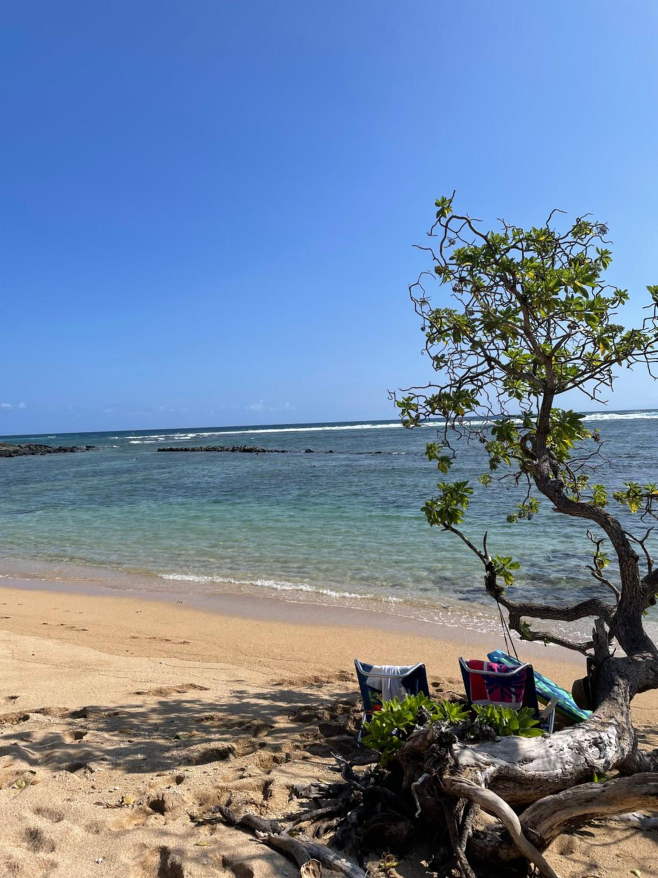 Ka Hale Kealoha view 5