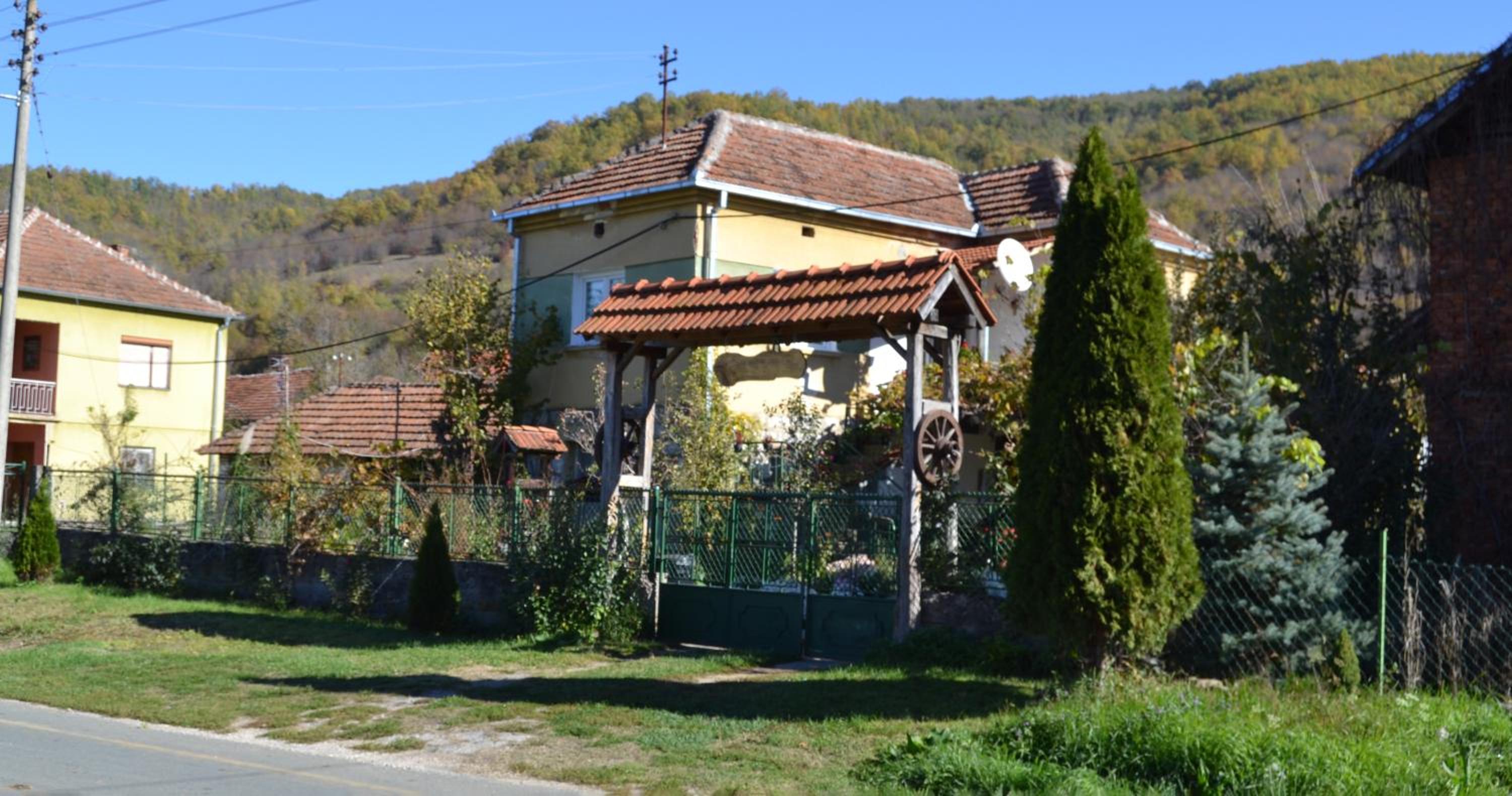 Photo 12