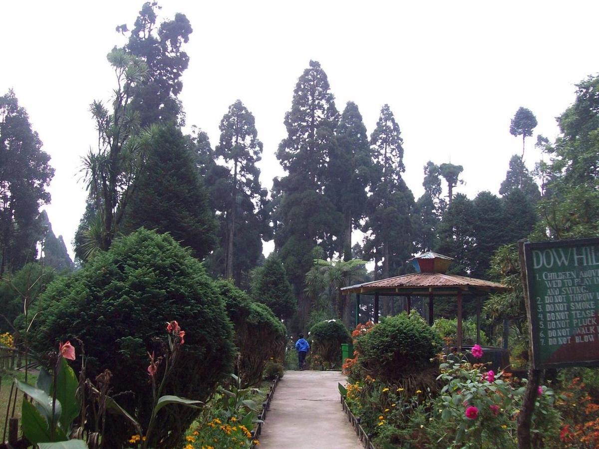 Damfu Basera Homestay