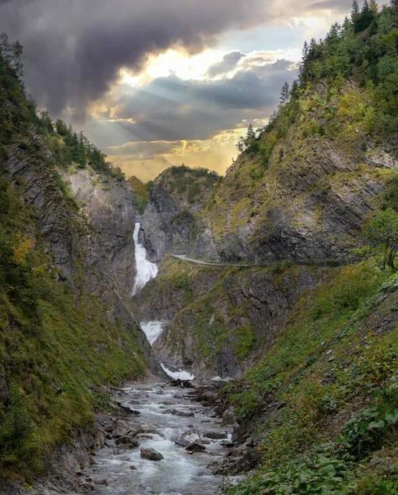 Die Holzgauerin