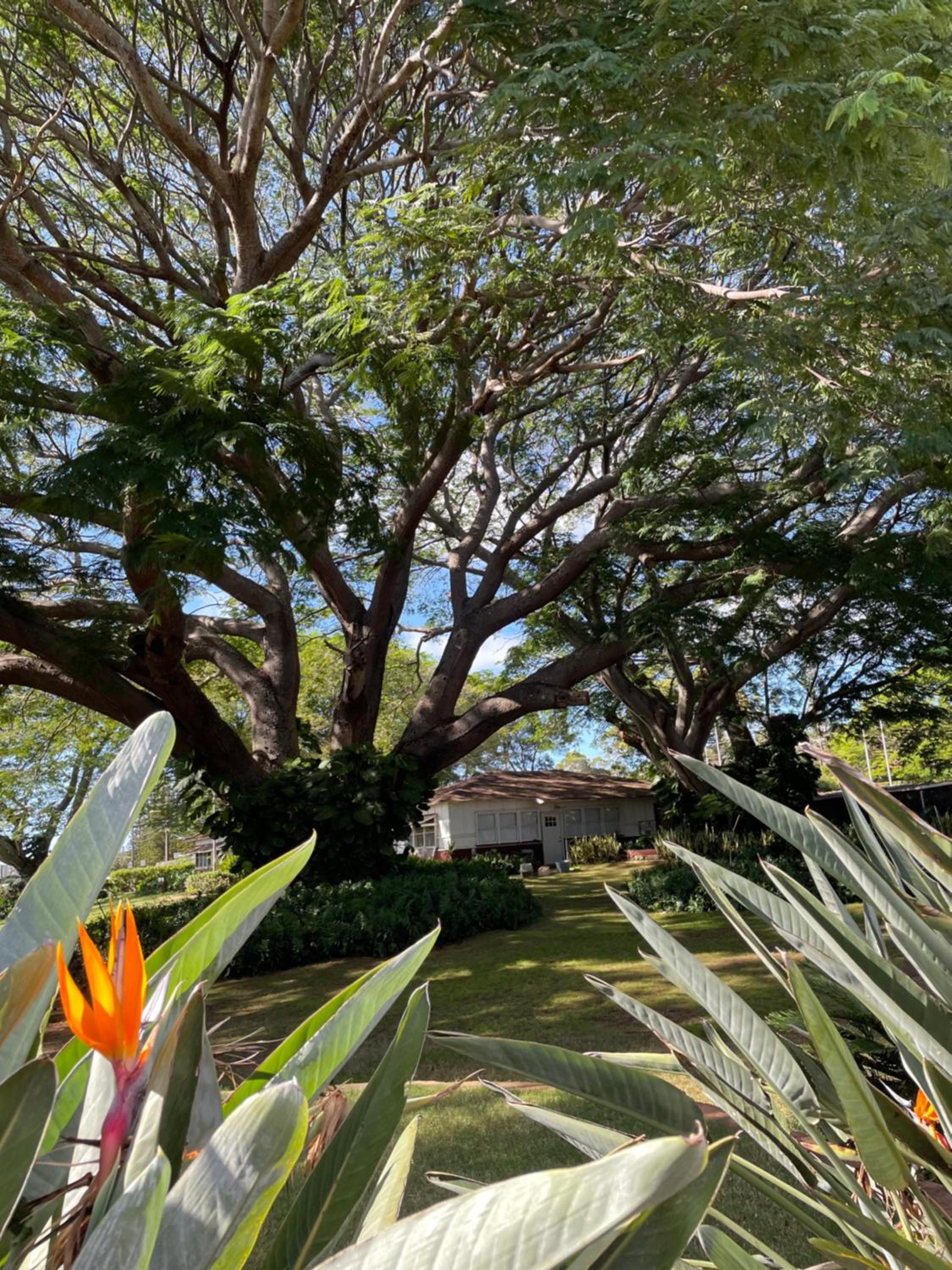 Photo 18