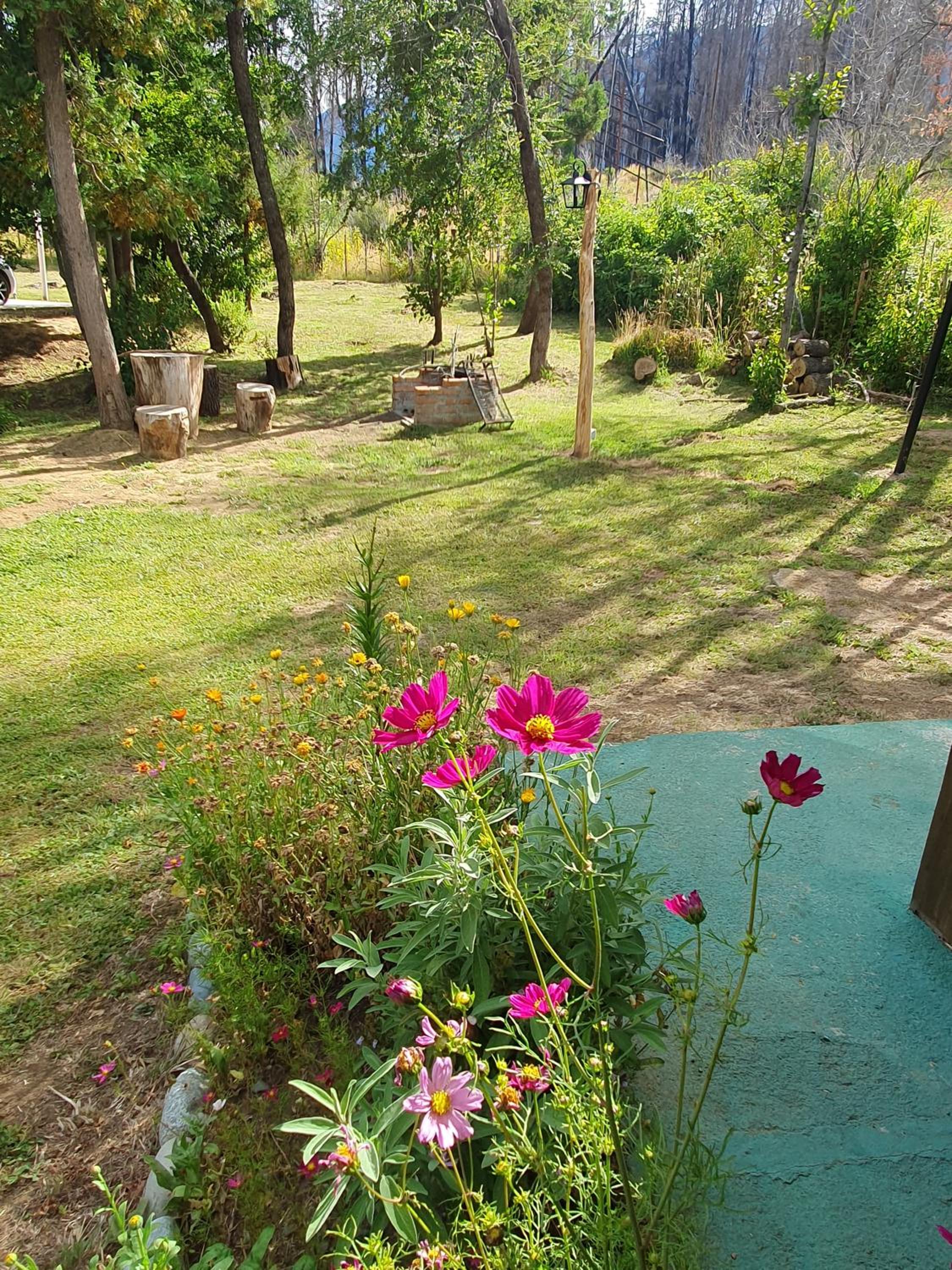 Casa Radal