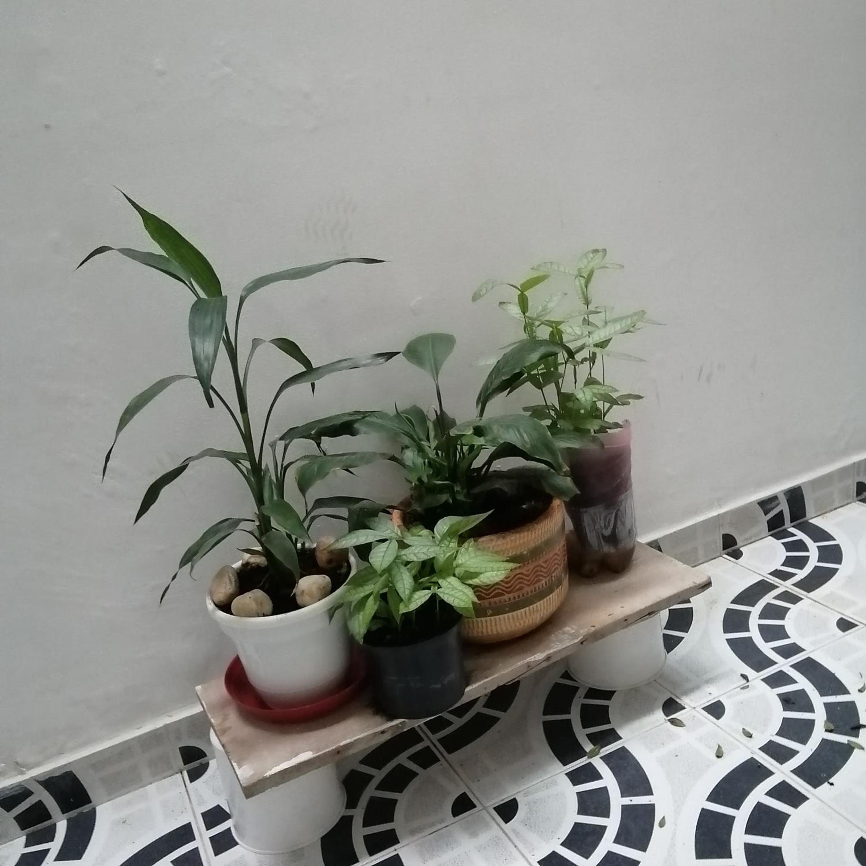Casa Villavicencio