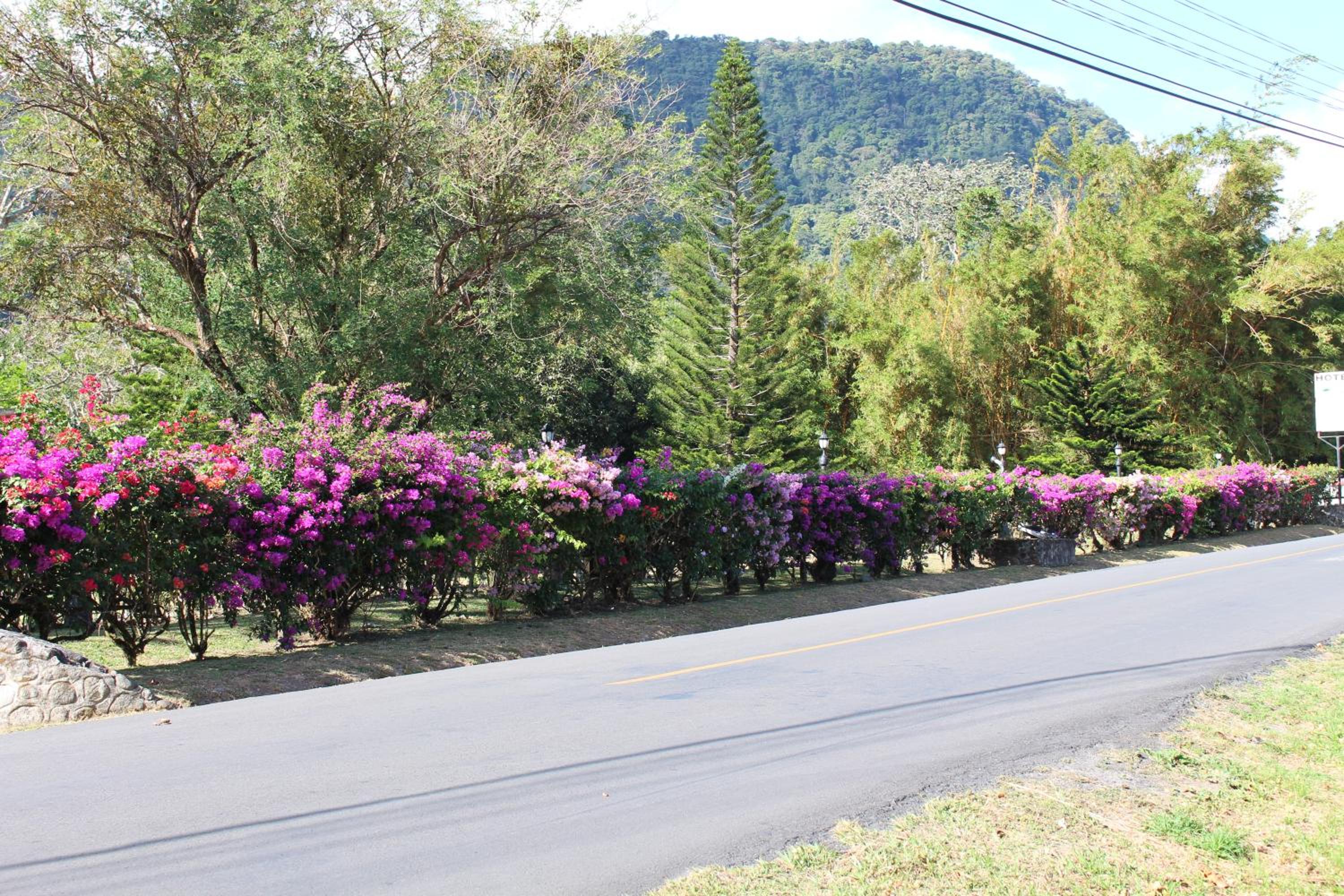 Hotel Valle Verde