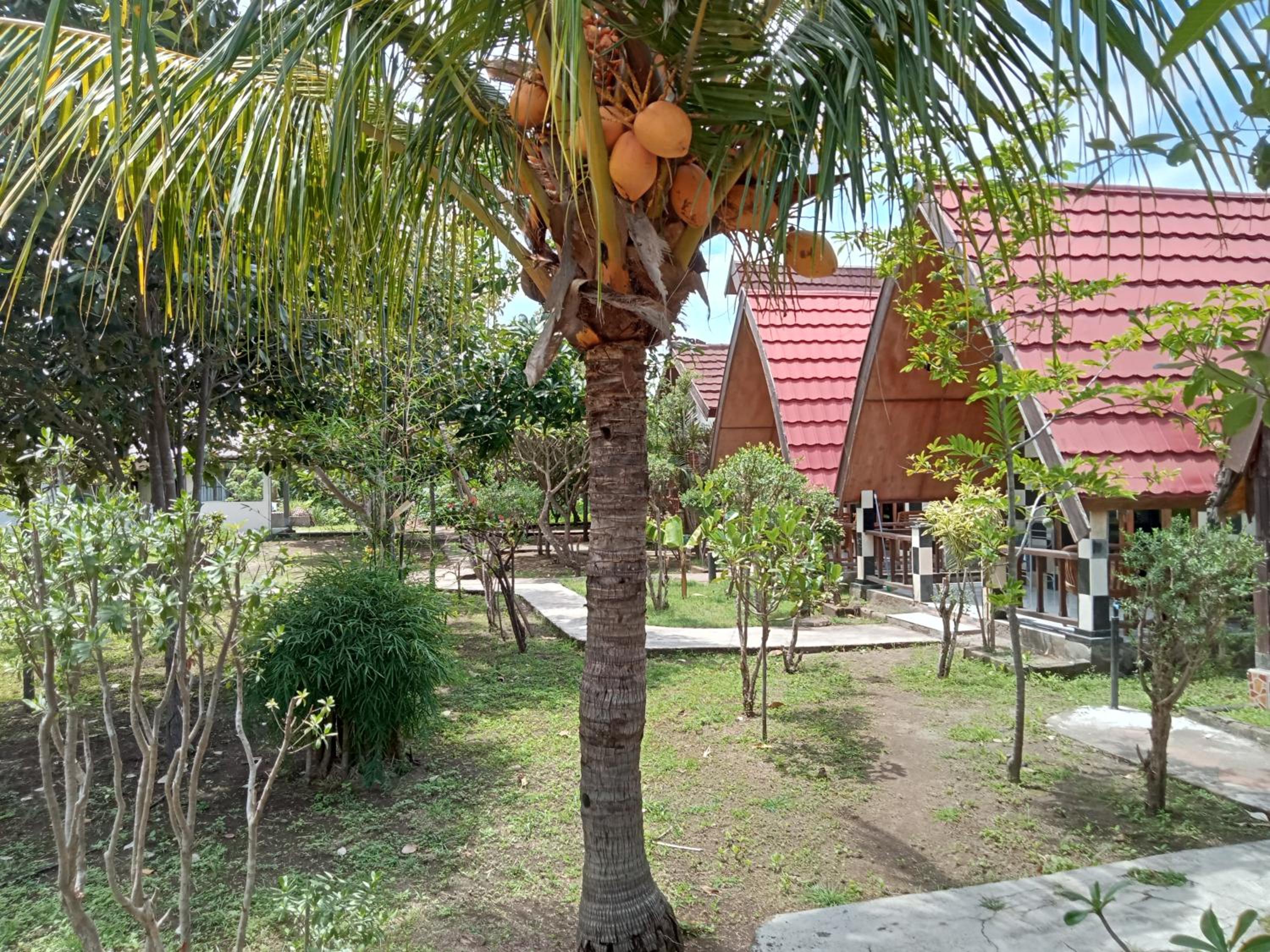 Photo 16