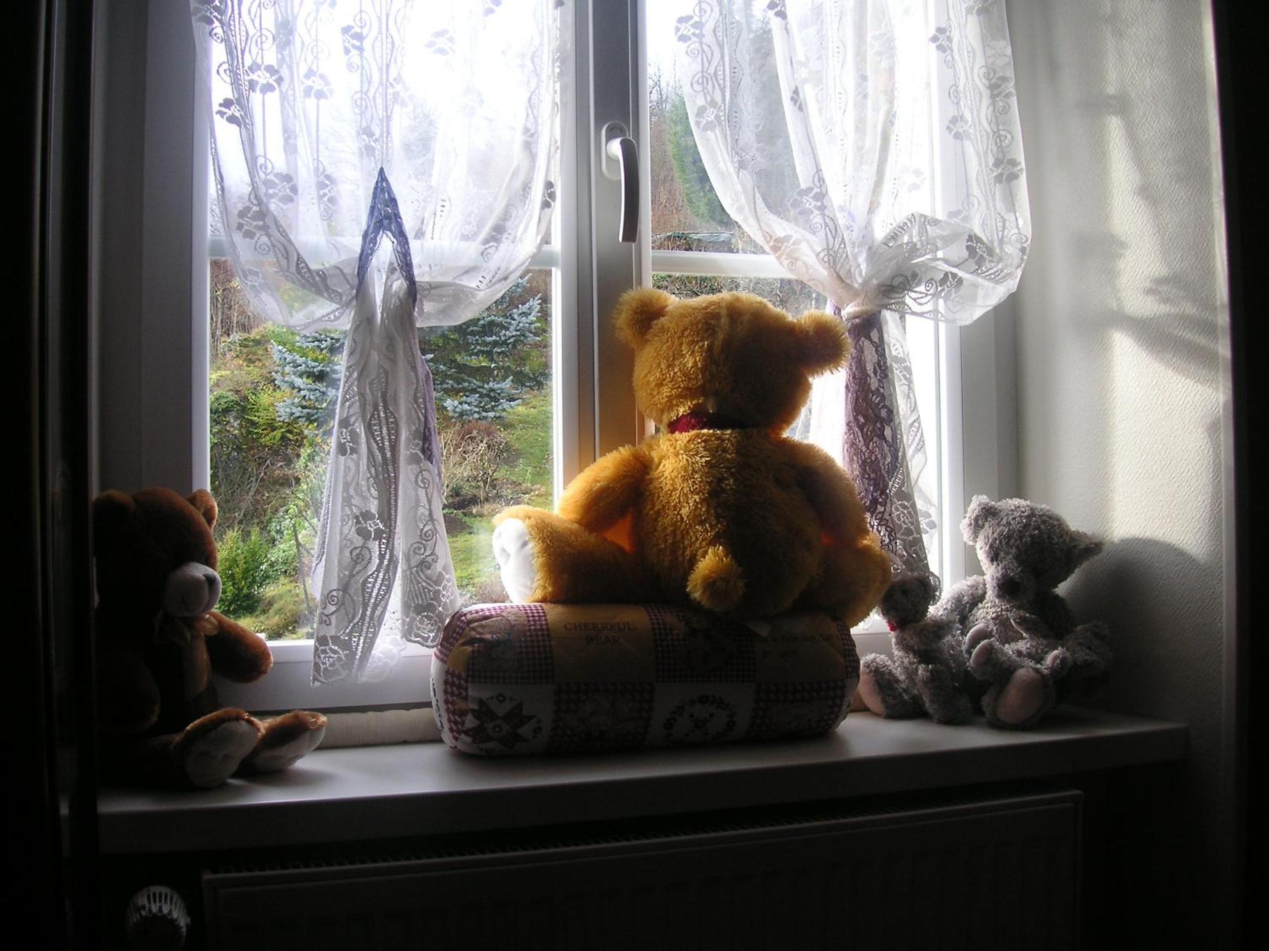 Photo 24