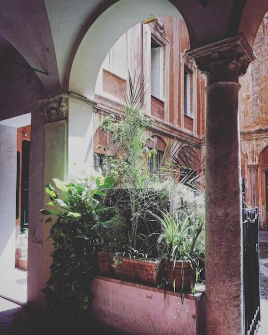 Apartment in a 1400s building in Via dei Coronari Piazza Navona