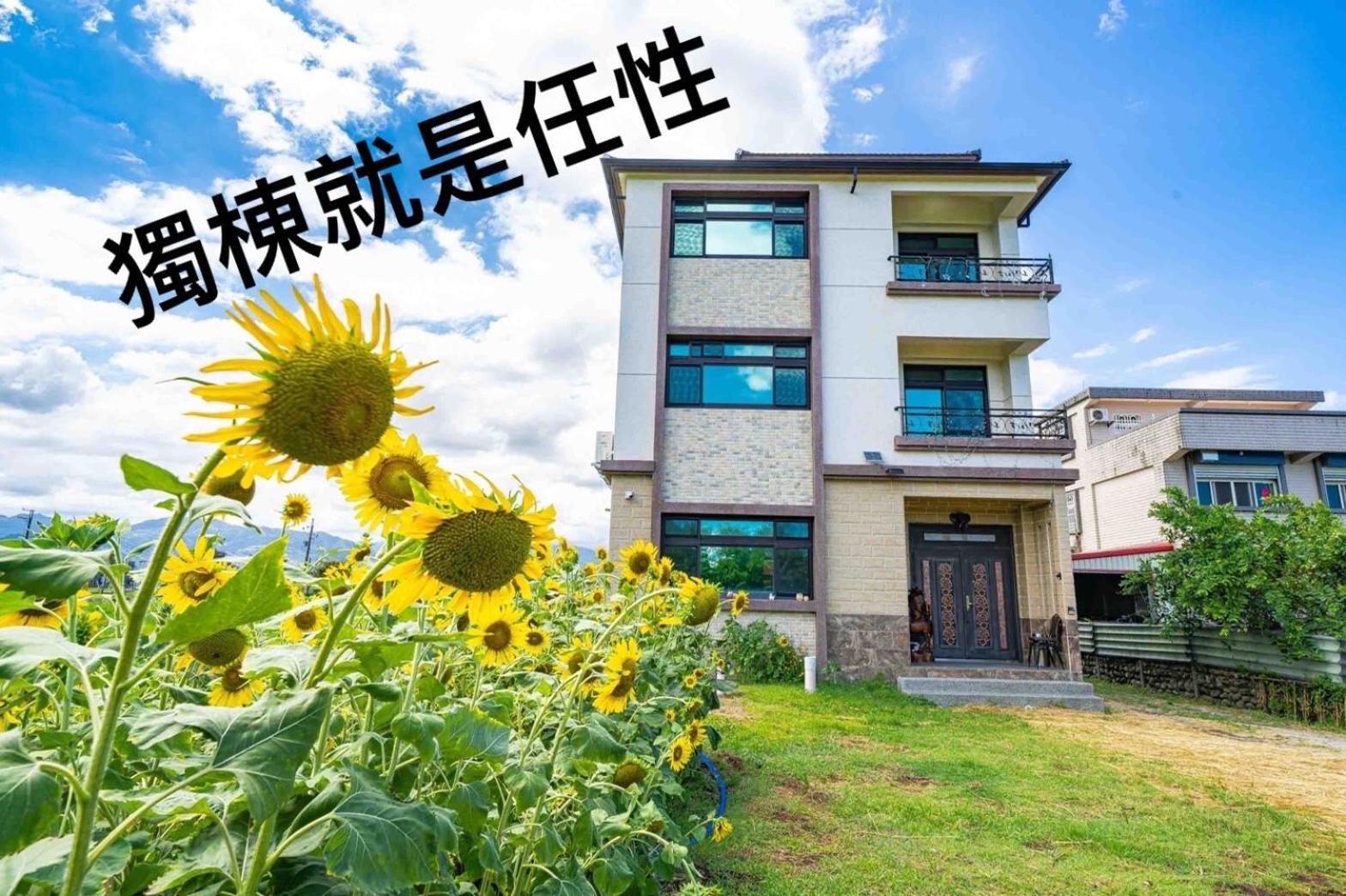 騎馬在對面民宿 view 5