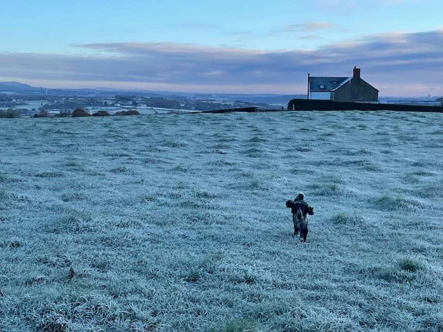 Entire country farmhouse