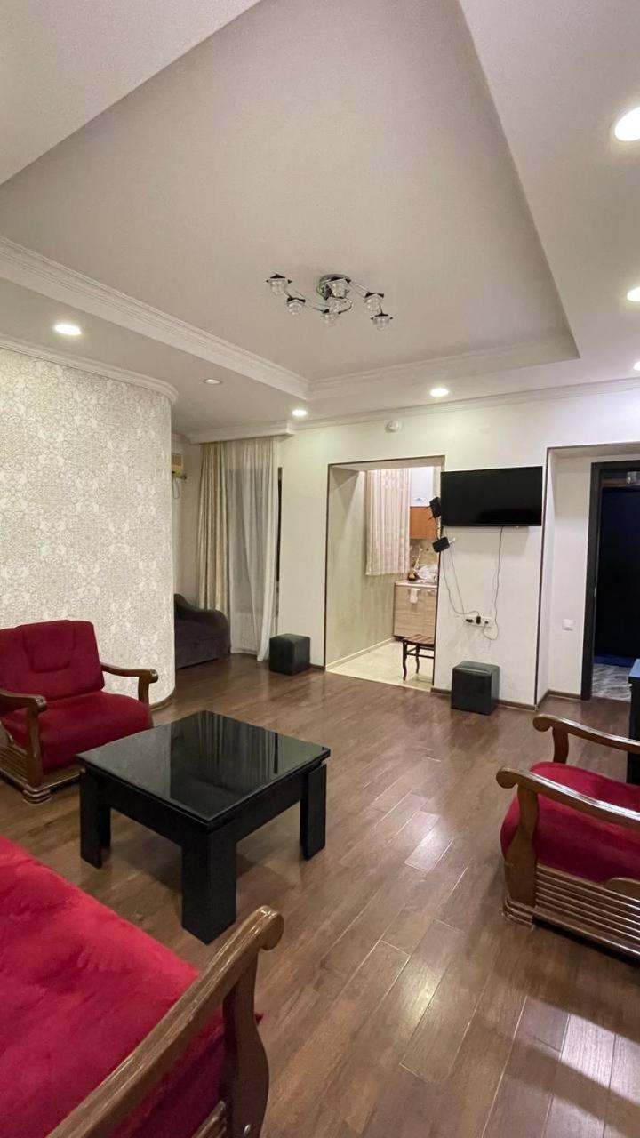 Elegant Modern Apartment view 2