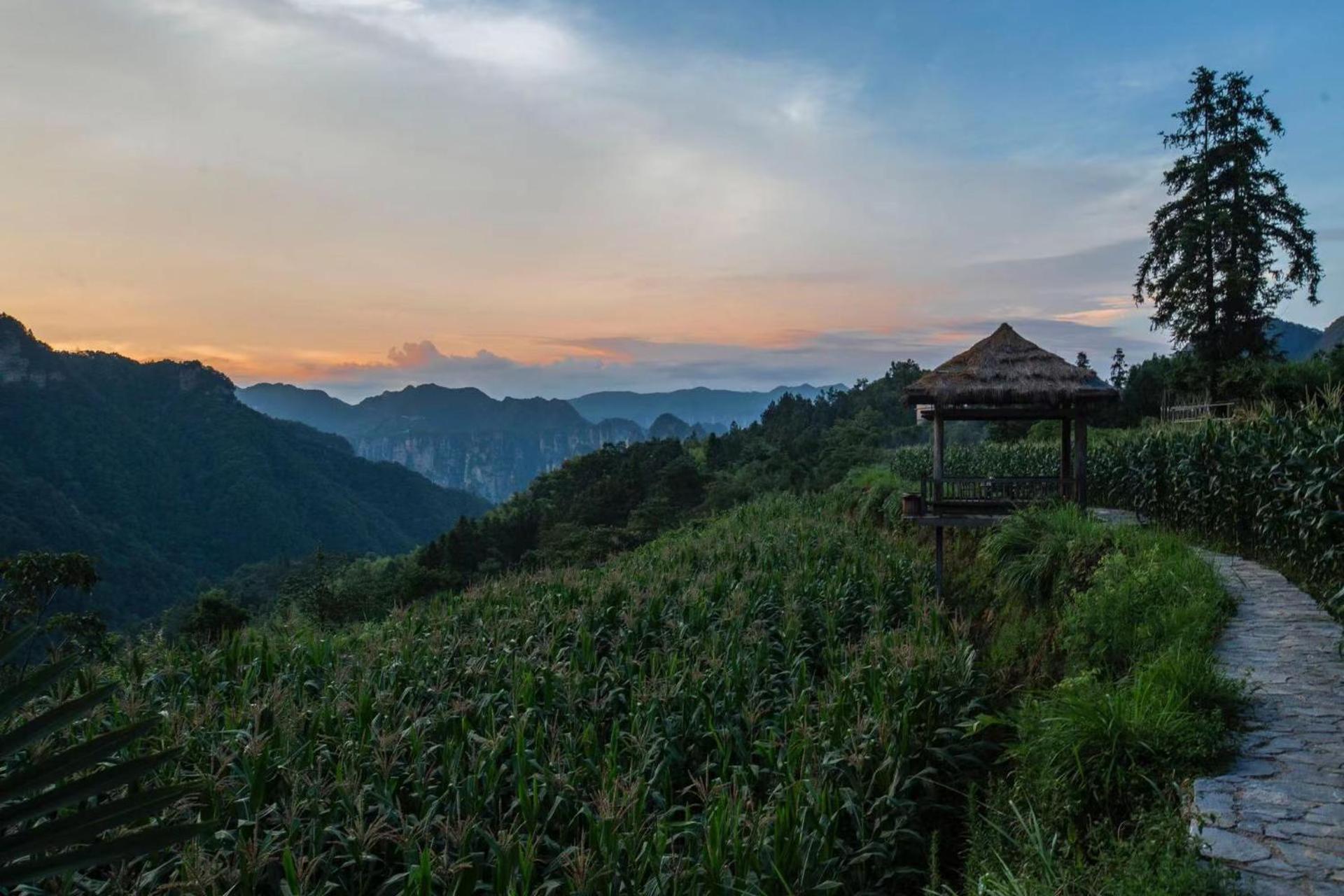 Zhangjiajie national park Purespace --2nights 1free pick-up&book tickets&5min to park