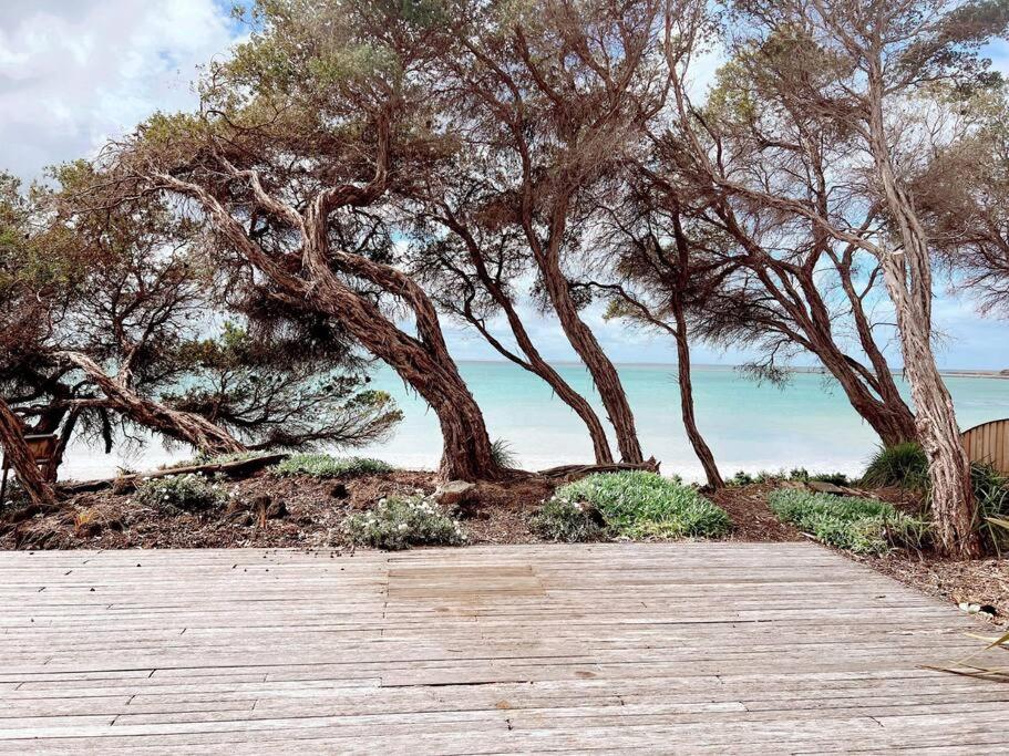 The Cove Beach Front Luxury House