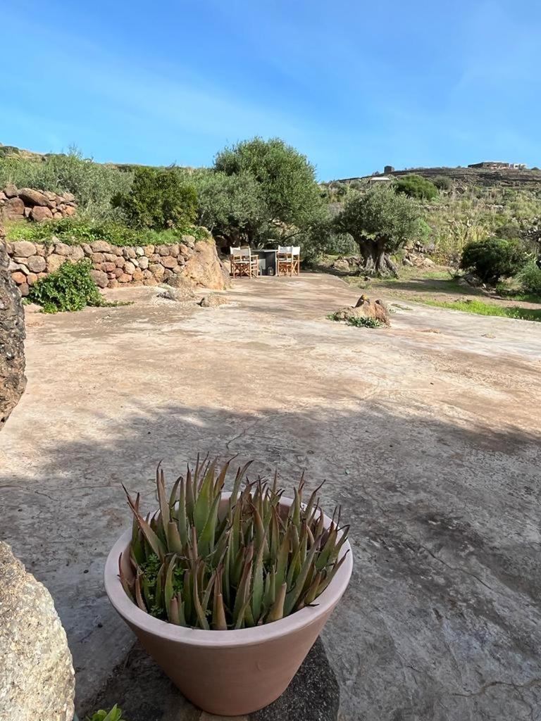 Dammusi IL SERRALH -Pantelleria-