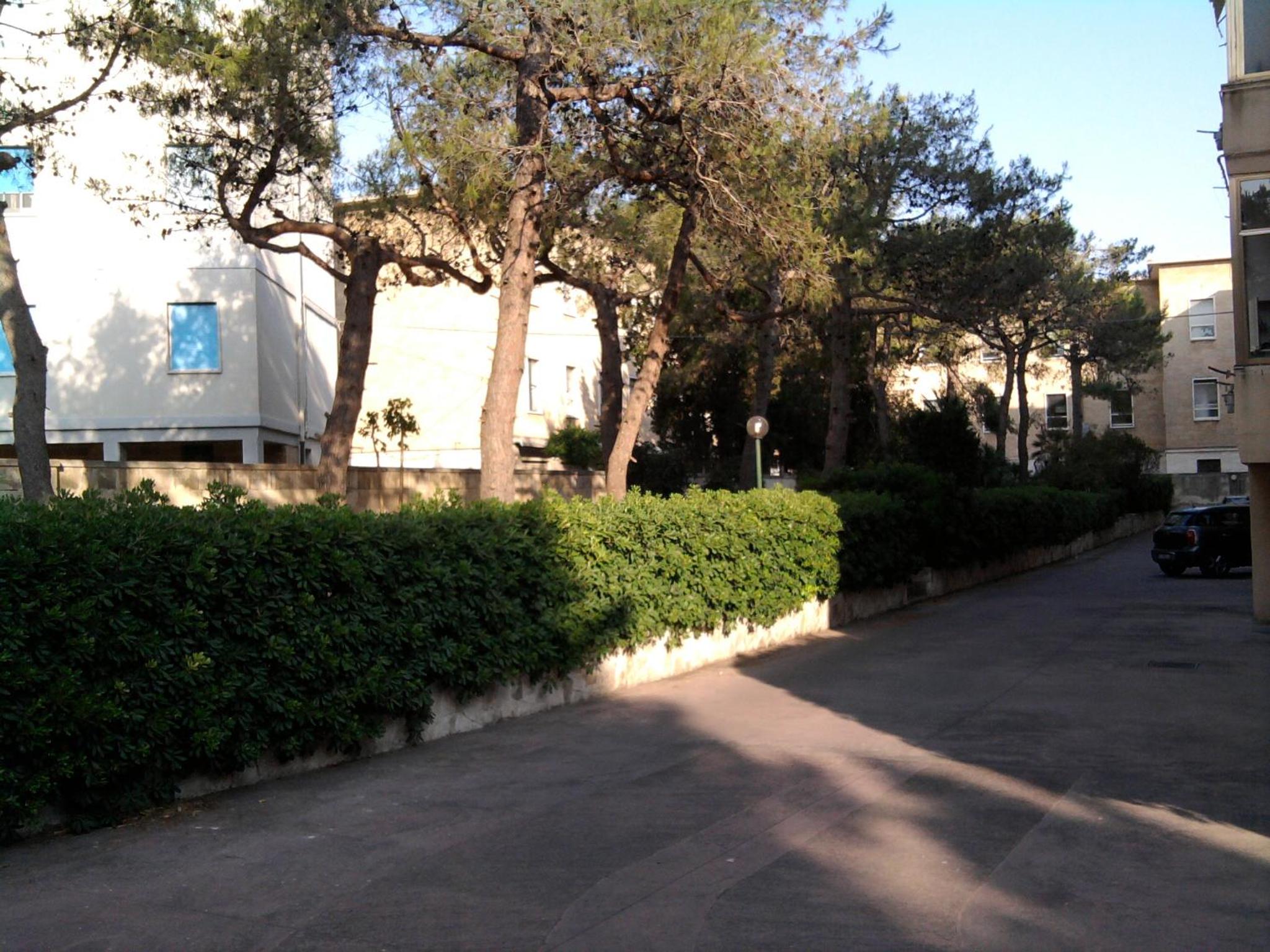 Armonie Centro Lecce view 4