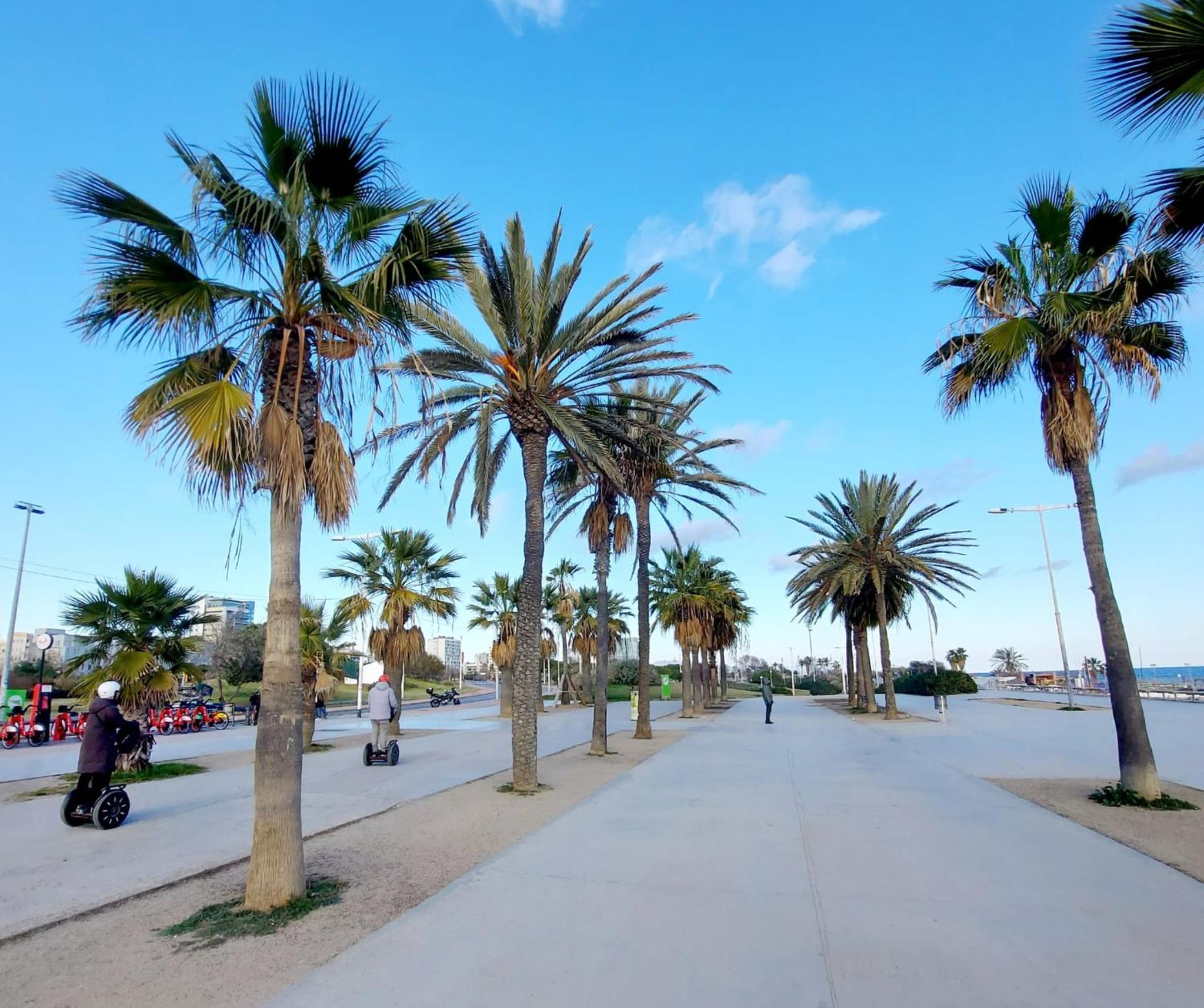 Confort apartamentos en playa, 3 DRM