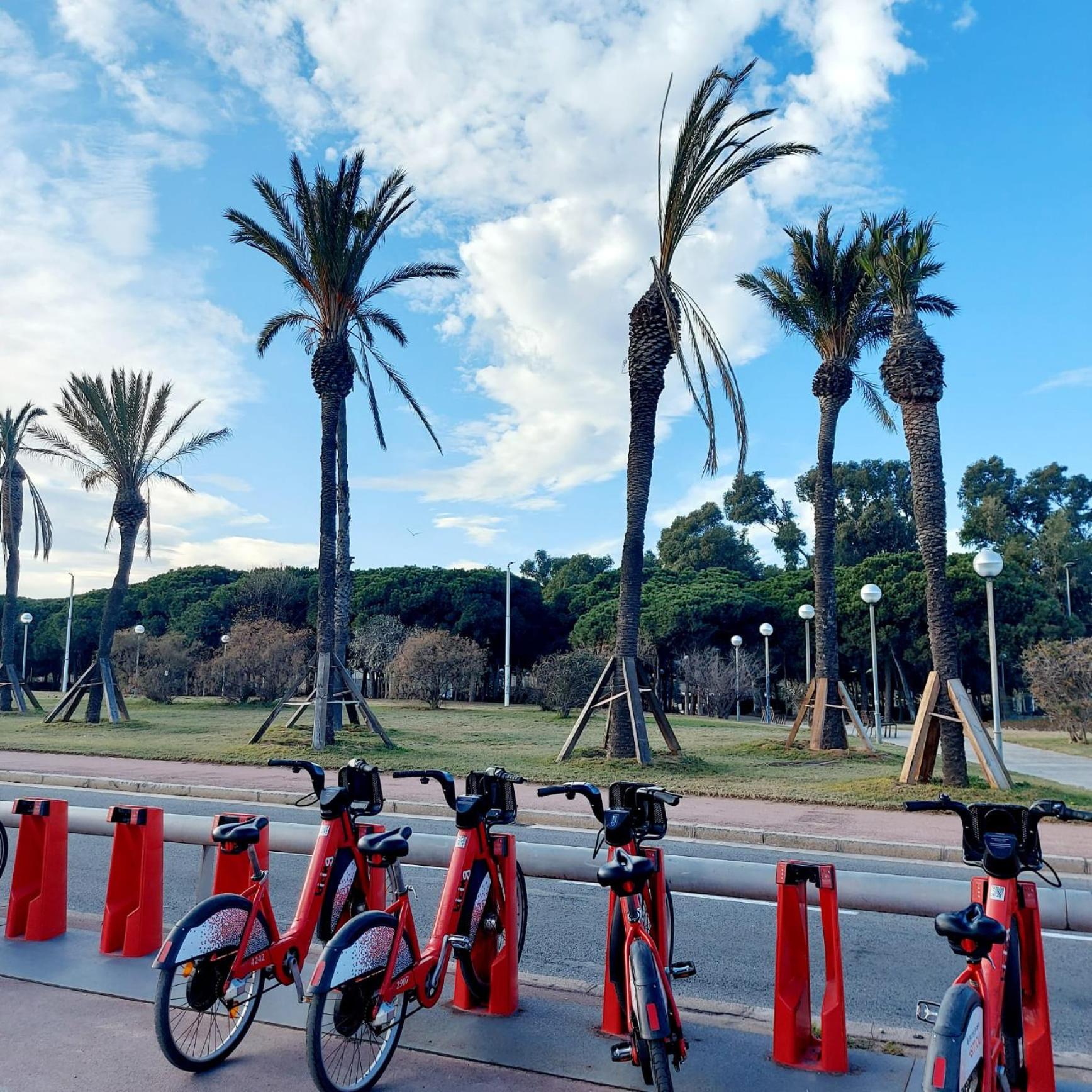 Confort apartamentos en playa, 3 DRM