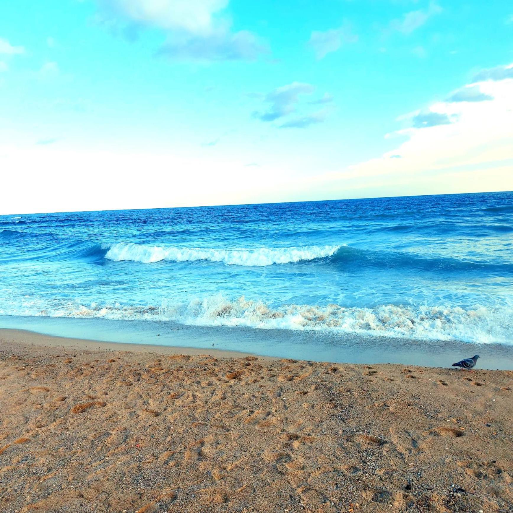 Confort apartamentos en playa, 3 DRM