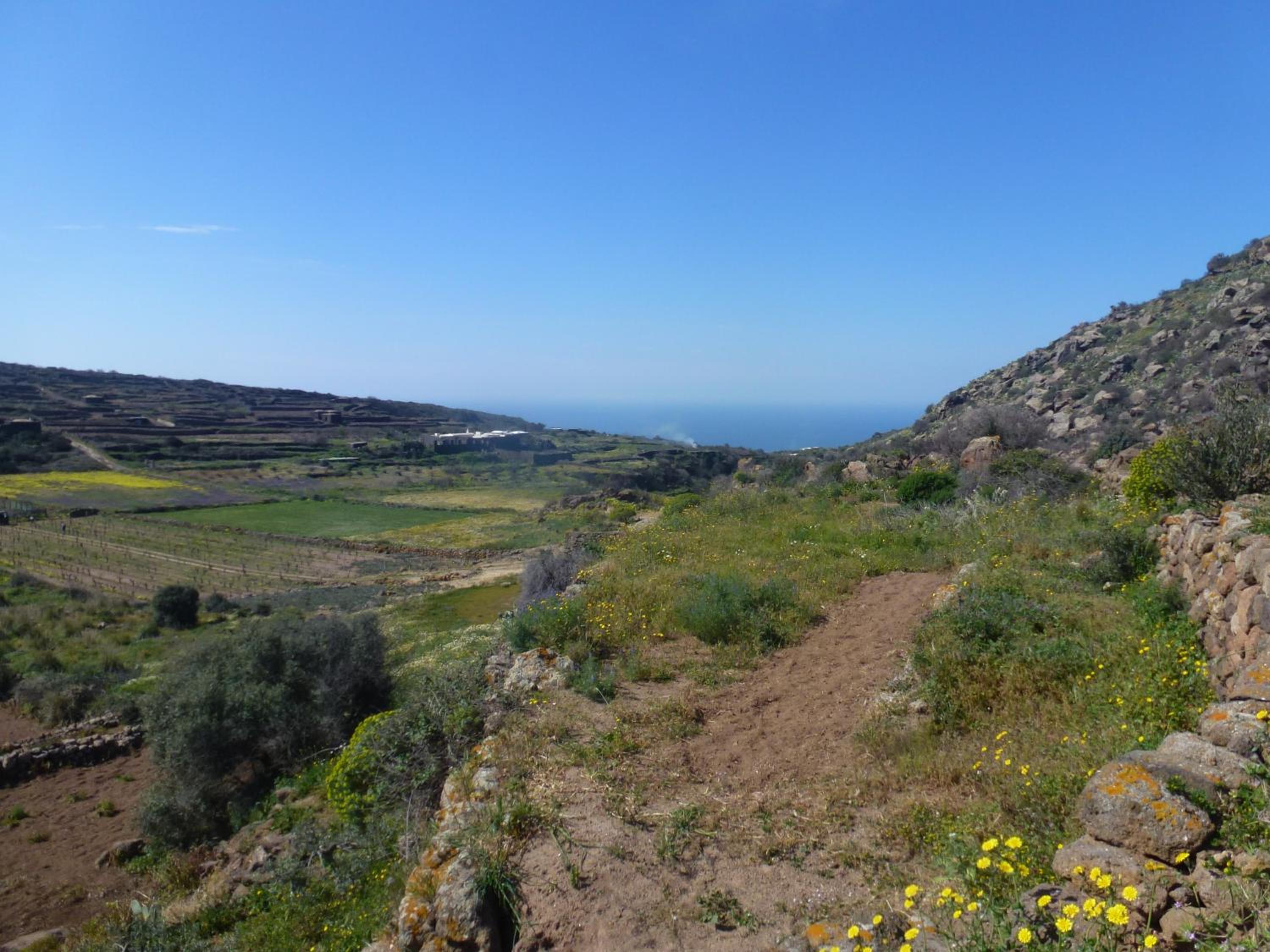 Dammusi IL SERRALH -Pantelleria-